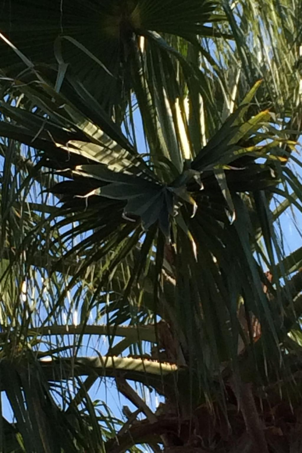 Gemütliche Wohnung in Pallini mit Eigenem Balkon-Binnen