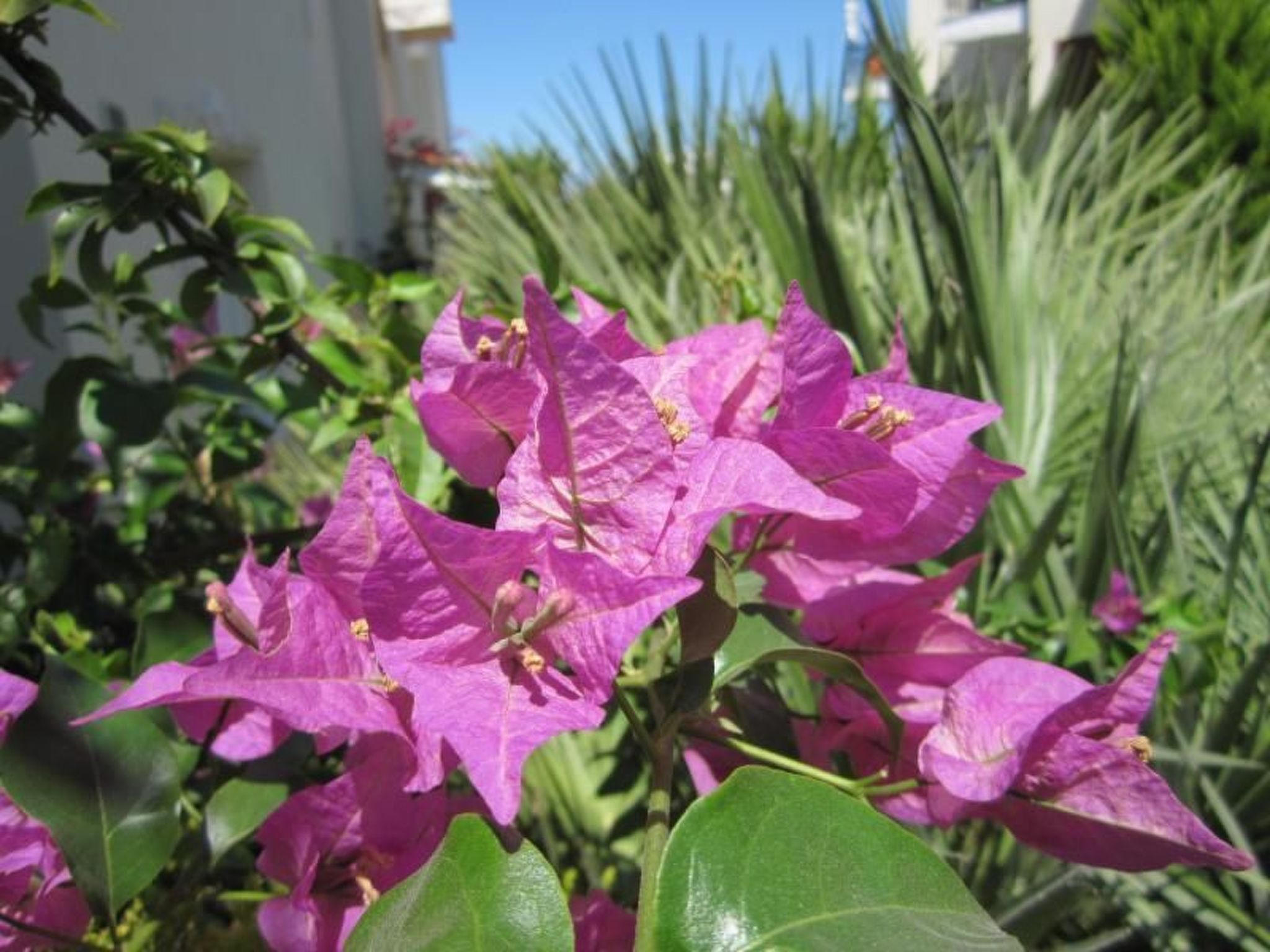 Wohnung in Pallini mit Eigener Terrasse-Drinnen