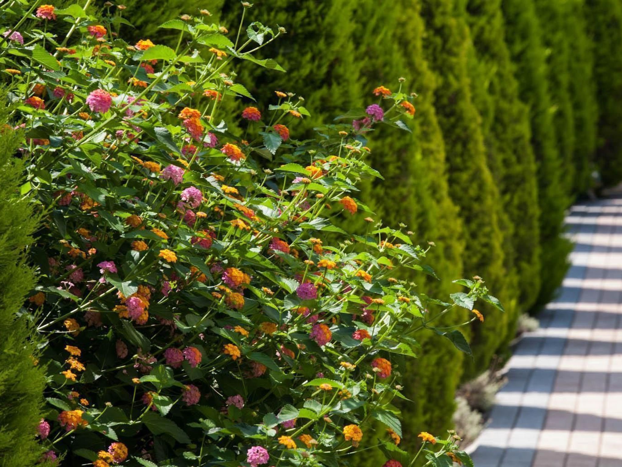 Wohnung in Pallini mit Eigener Terrasse-Drinnen