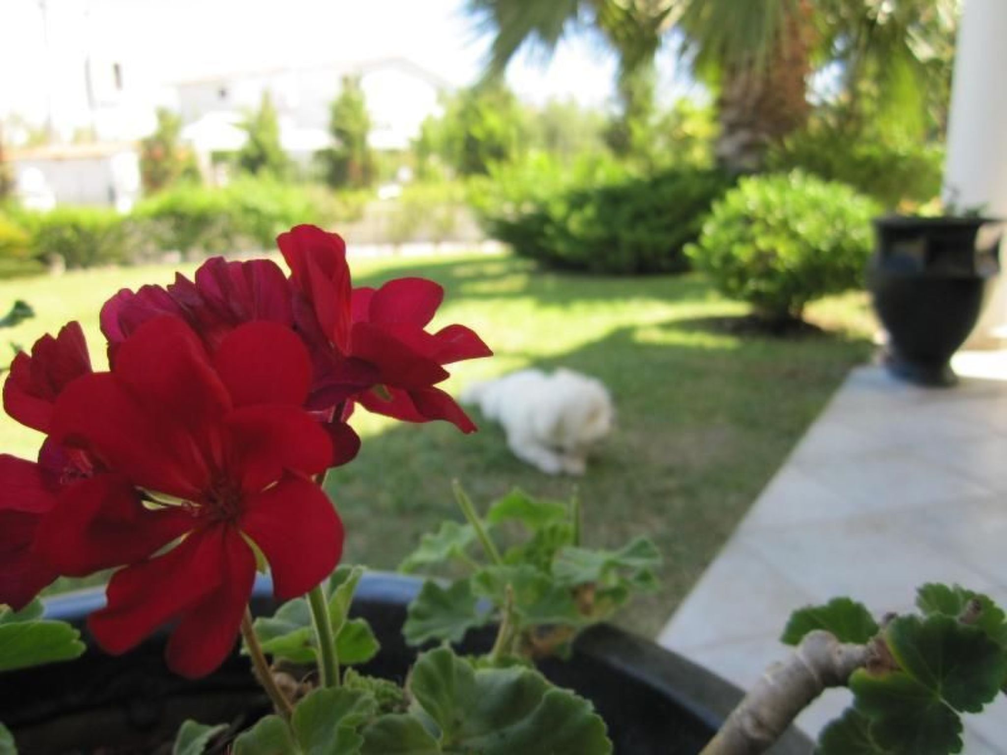 Sun Residence 5-Inside