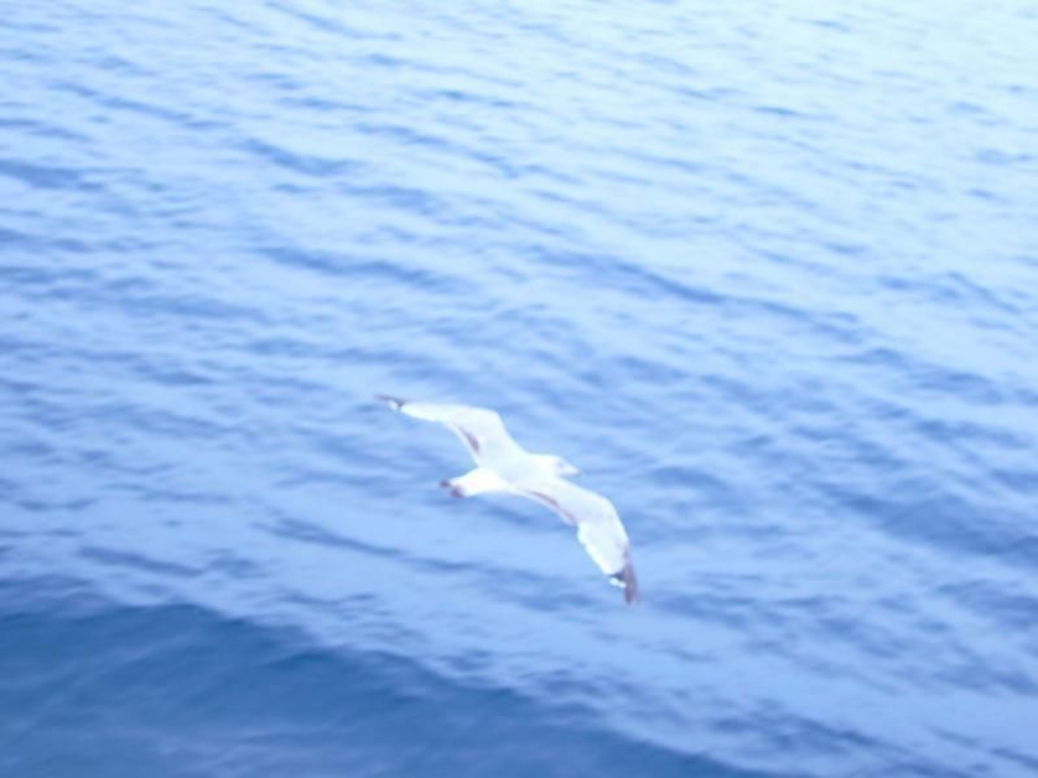 Sun Residence 5-Inside