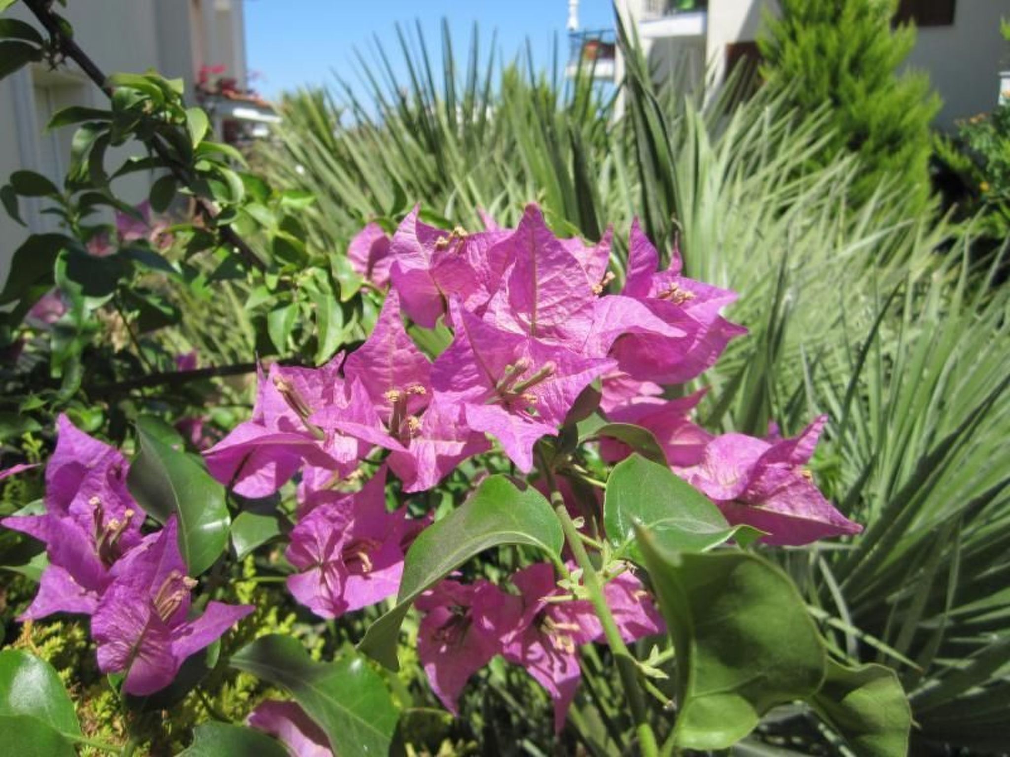 In Pallini mit Eigener Terrasse