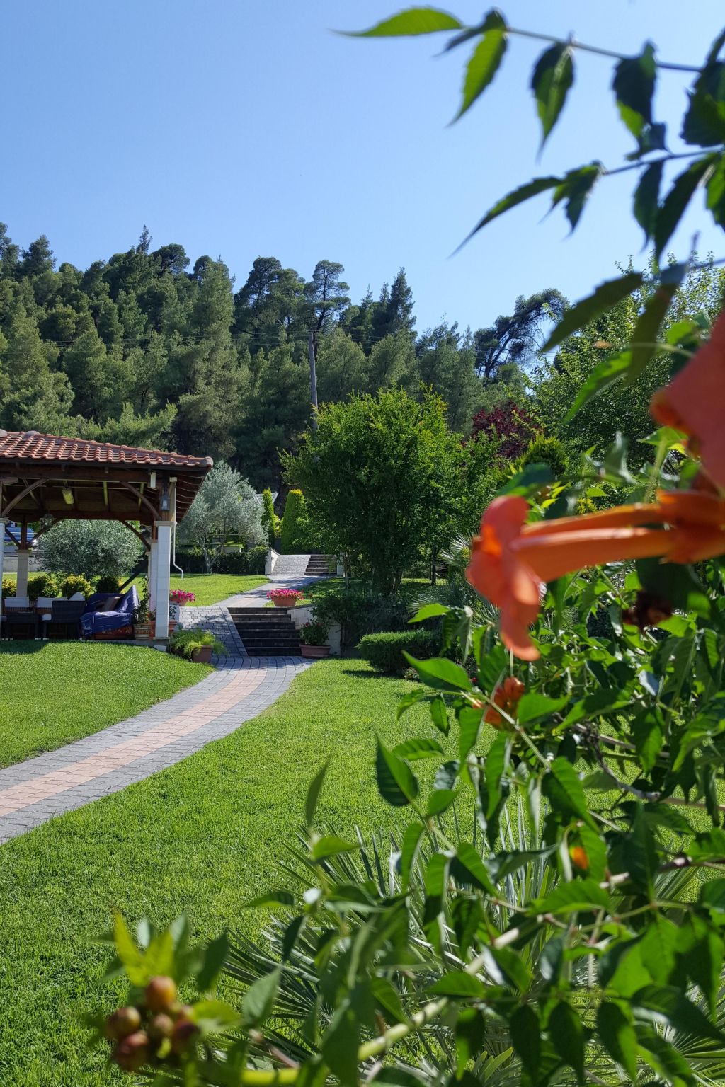 In Pallini mit Eigener Terrasse-Drinnen