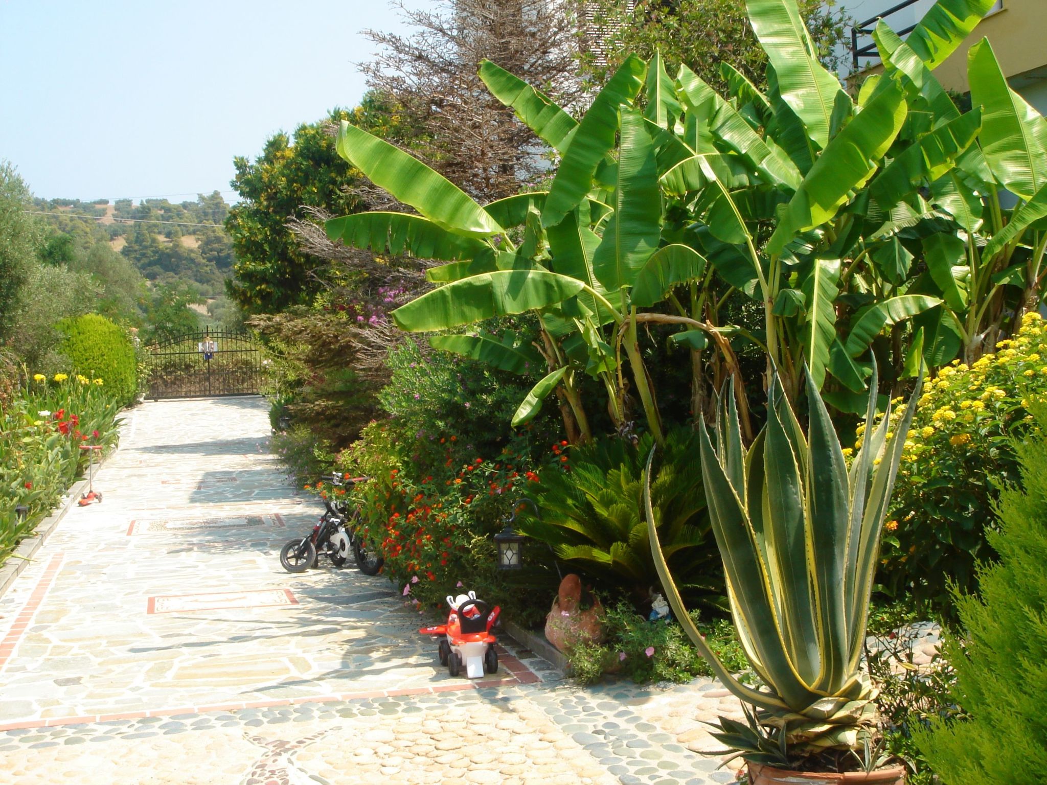 Aus dem Garten direkt an den Strand - Buiten