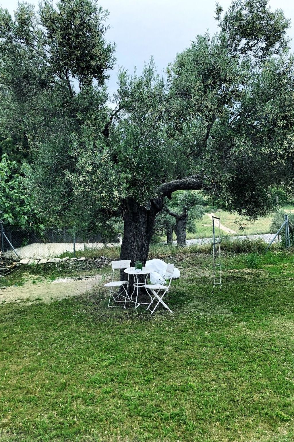 Niki-Image-tags.info