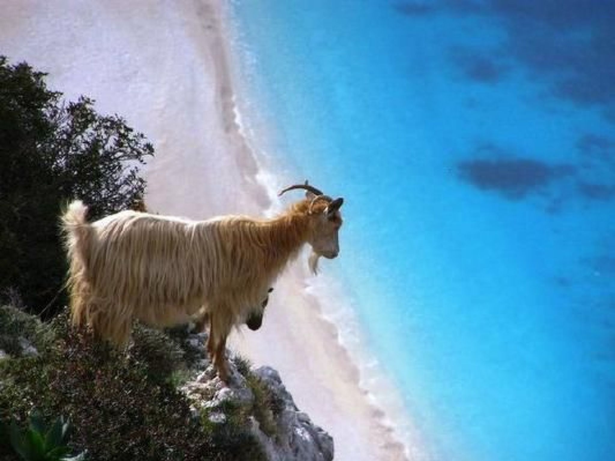 Luxuriöse "Villa Spyros" mit Meerblick-Image-tags.info