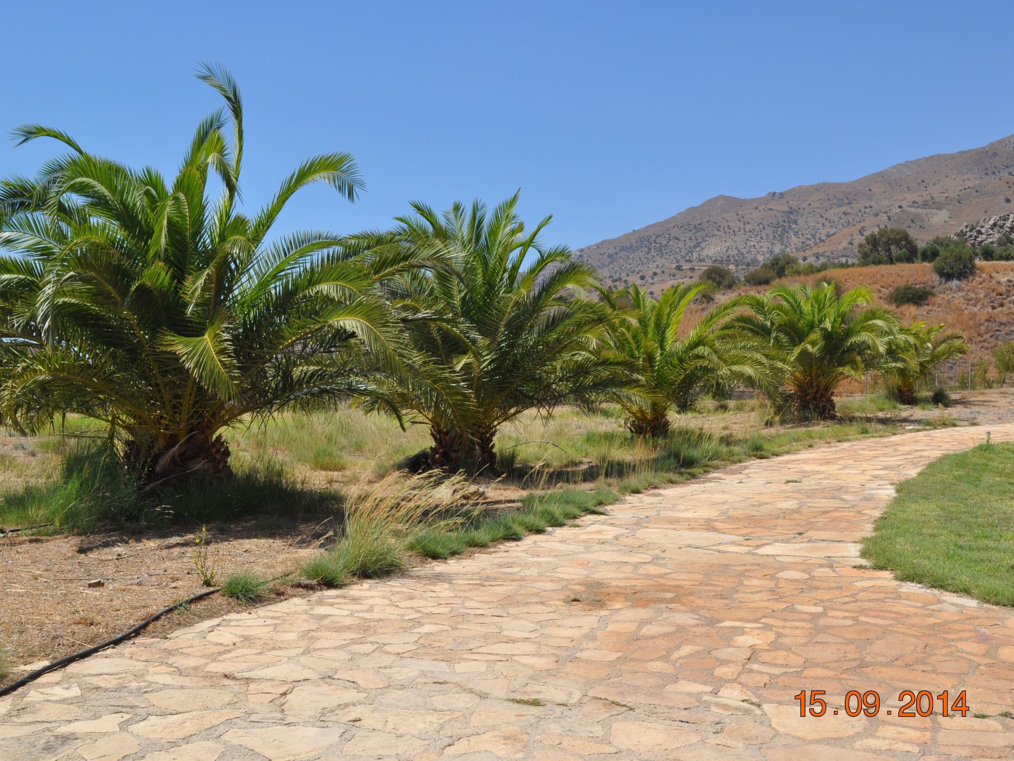 Mit Privatpool für 12 Personen in Agia Galini, Kreta-Image-tags.info