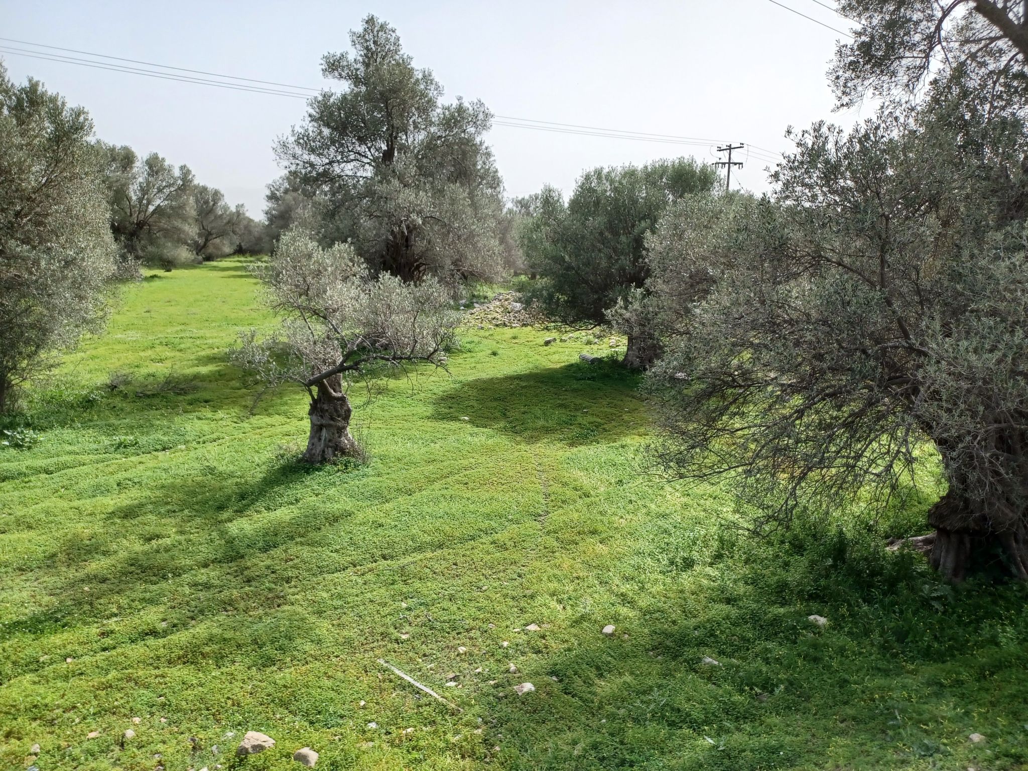 Pitsidia Hills-Image-tags.info