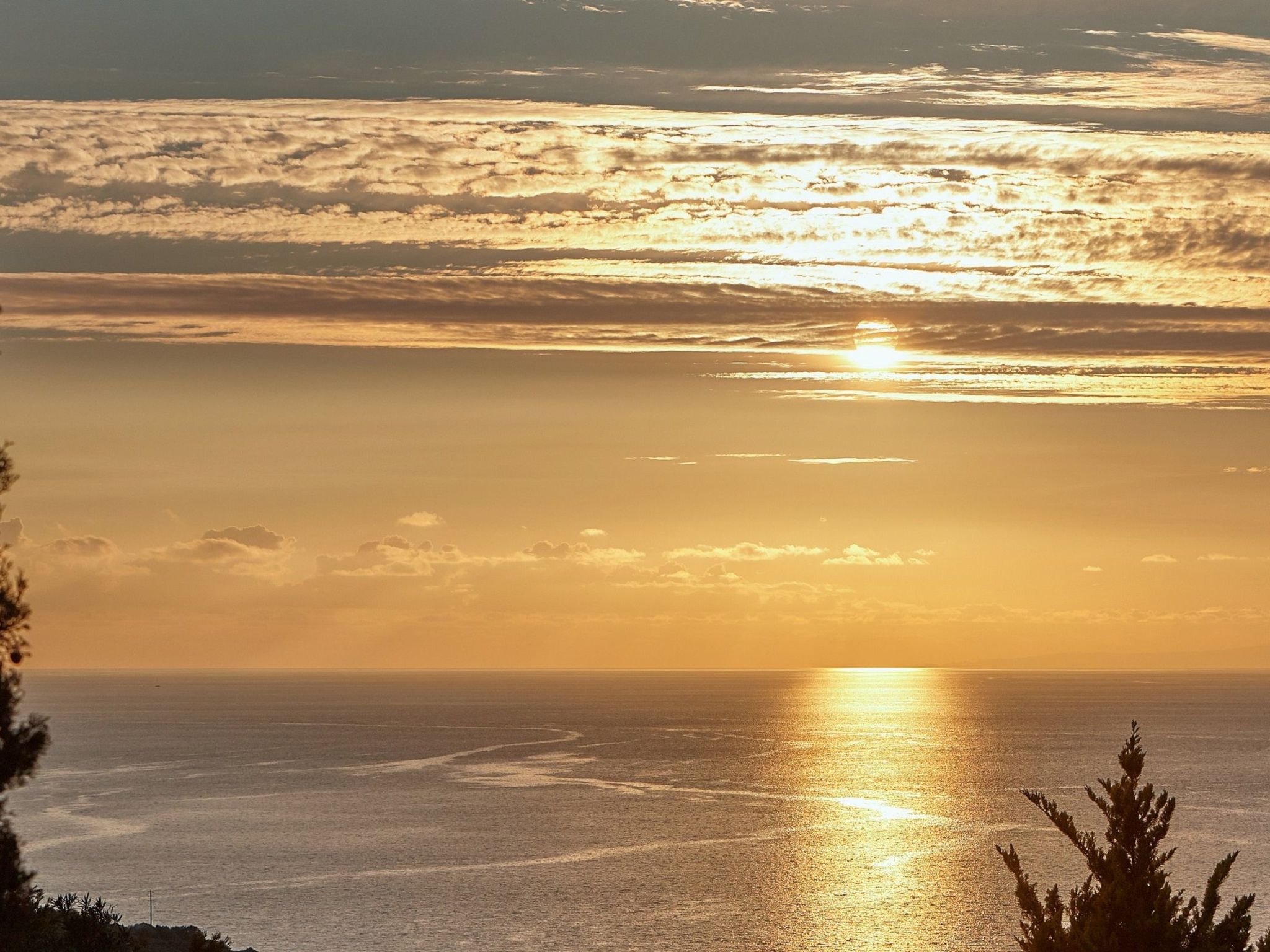 Orelia-Image-tags.info