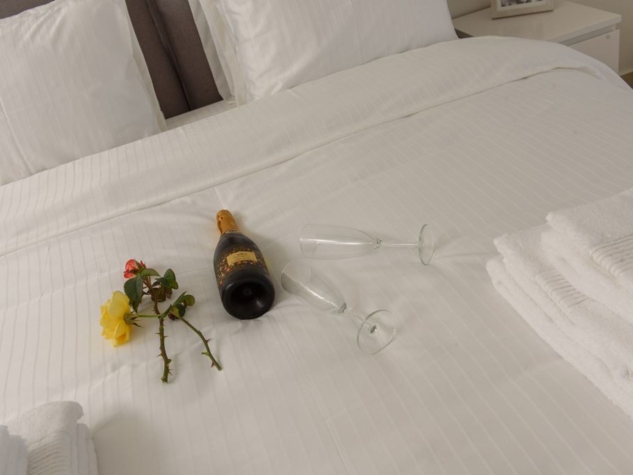 Villa Delfini 3-Image-tags.info