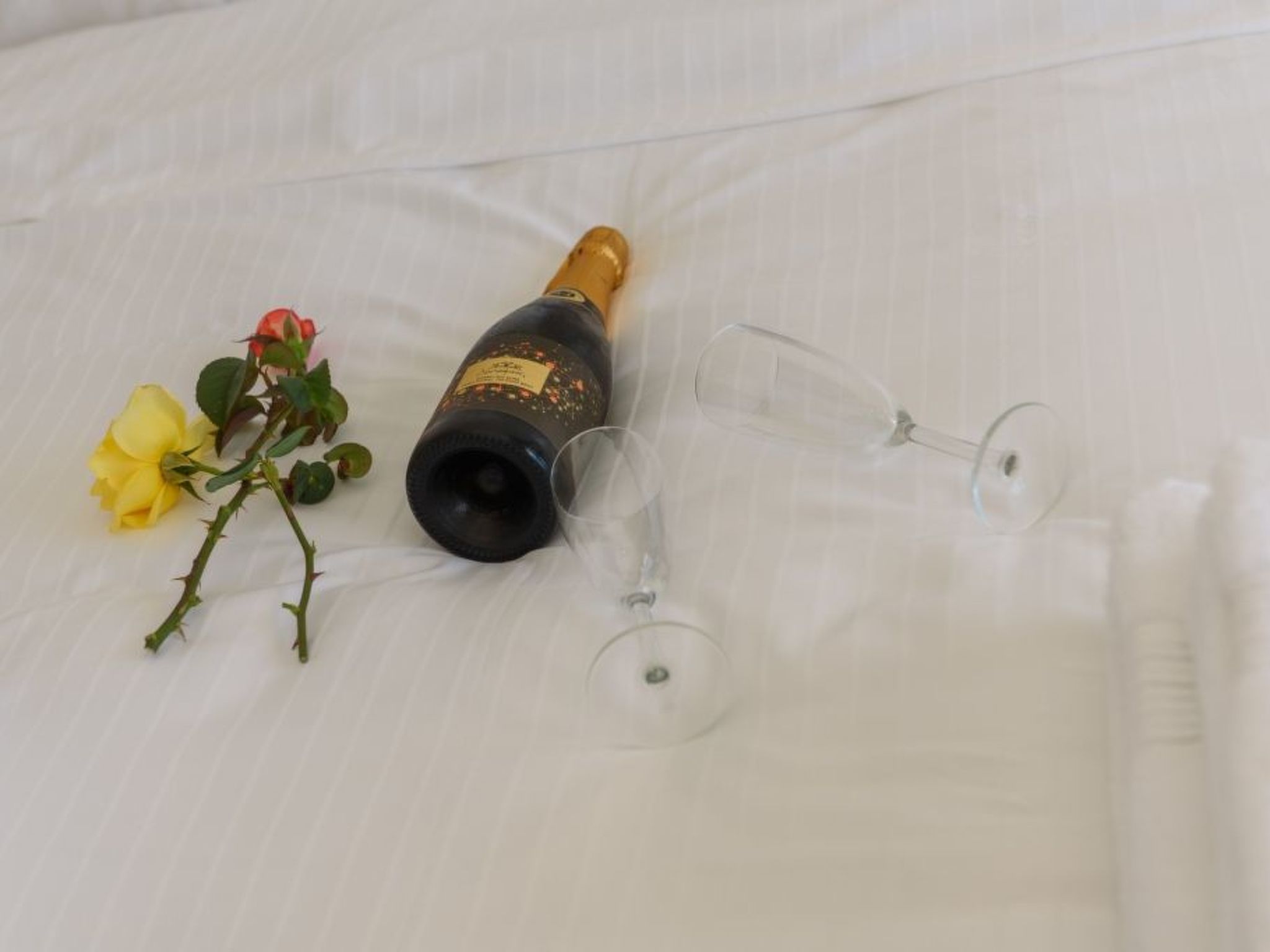 Villa Delfini 3-Image-tags.info