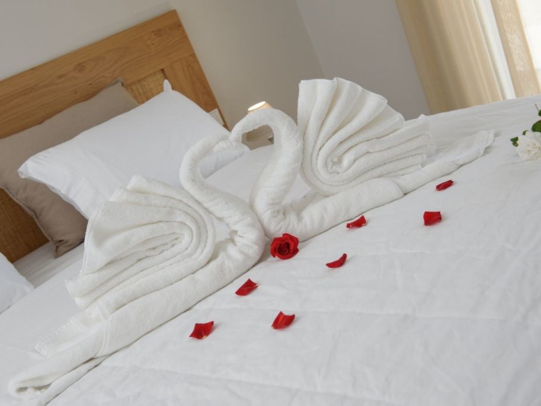 Delfini4-Image-tags.info