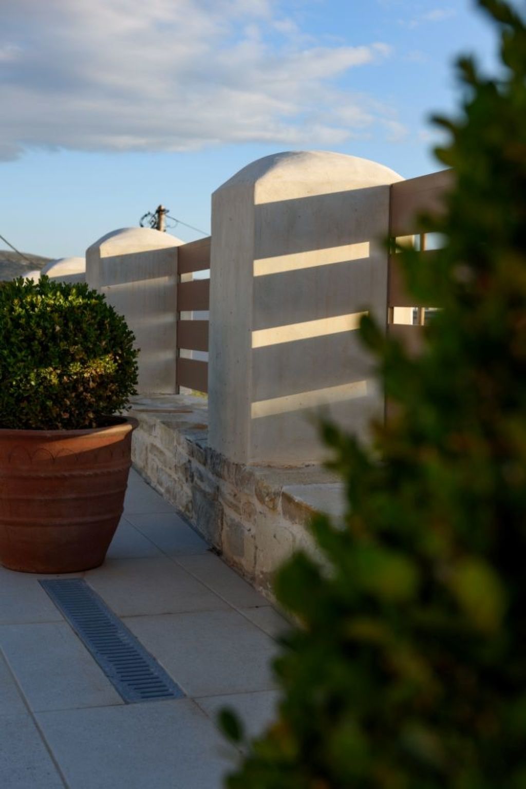 Delfini4-Image-tags.info