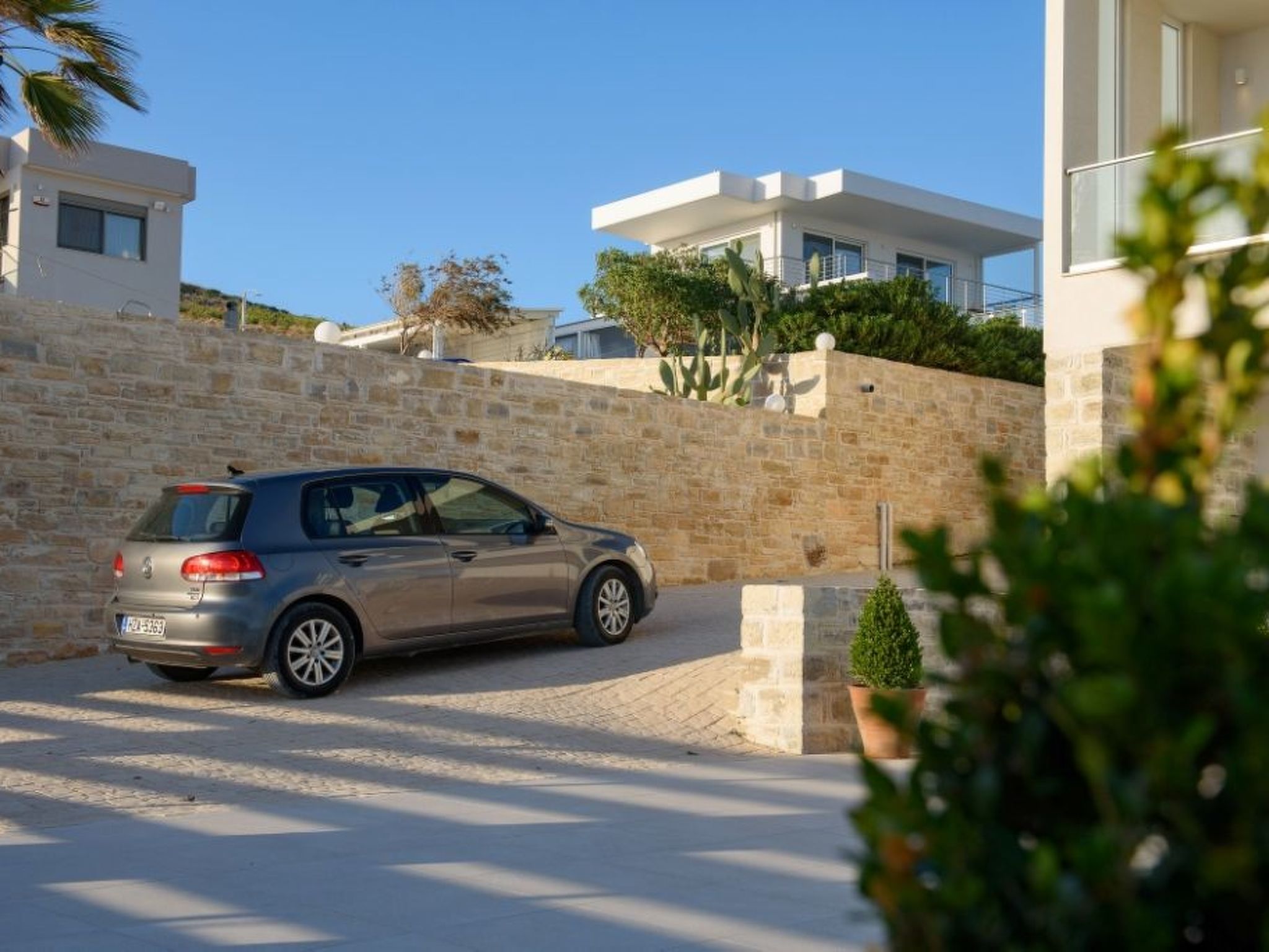 Delfini4-Image-tags.info