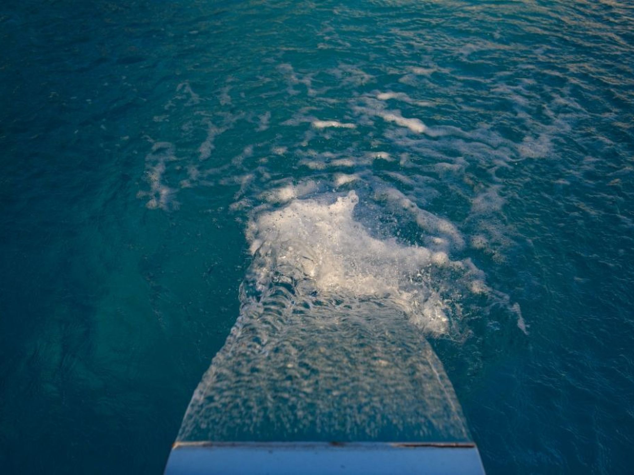 Delfini4-Image-tags.info