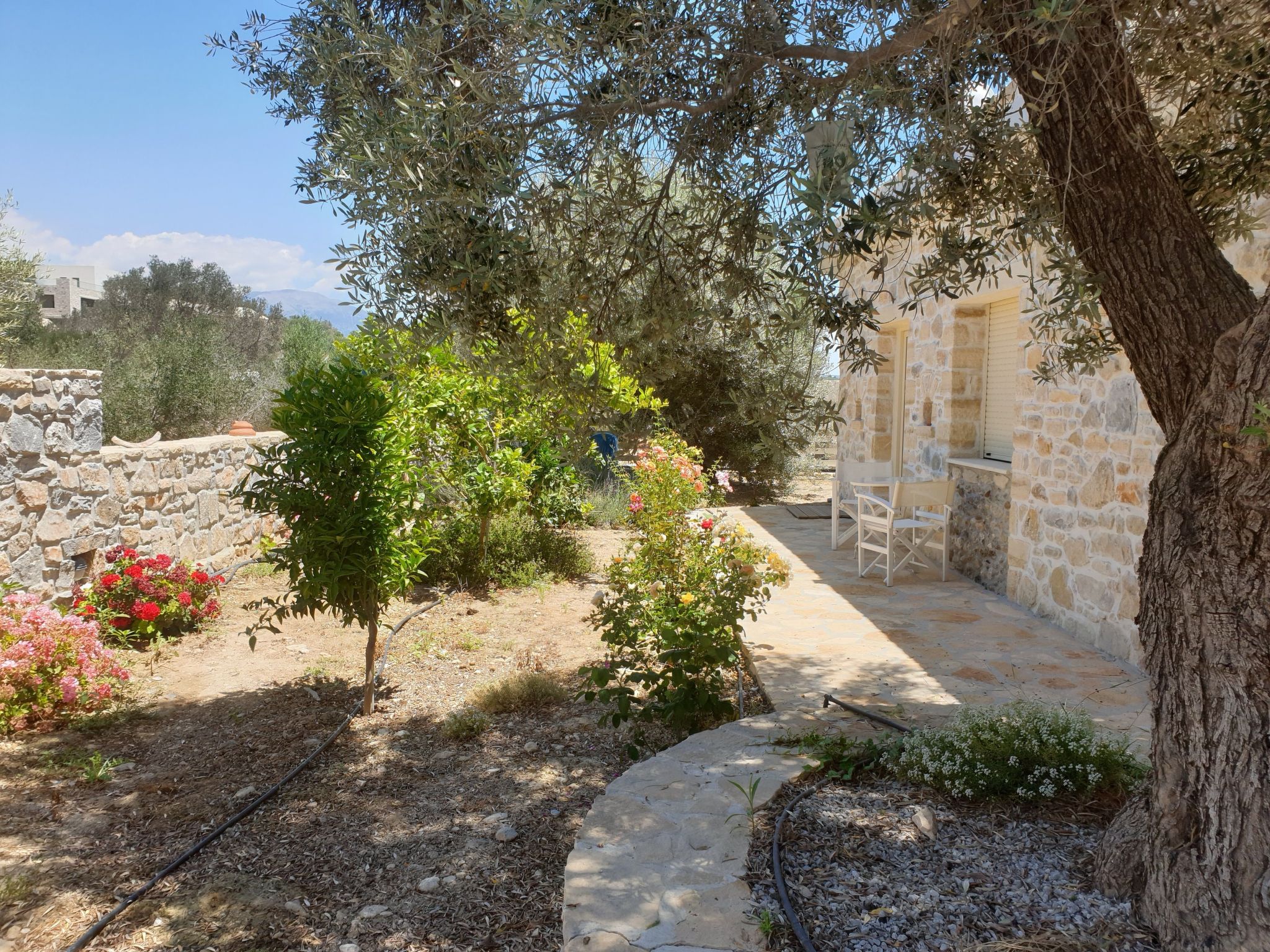 Villa Efthalia - Image 2