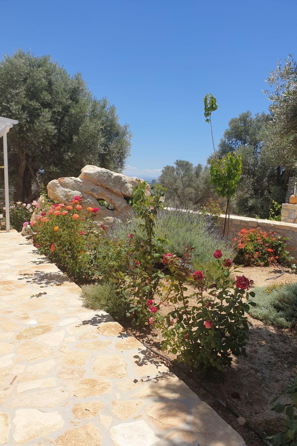 Villa Efthalia - Image 3