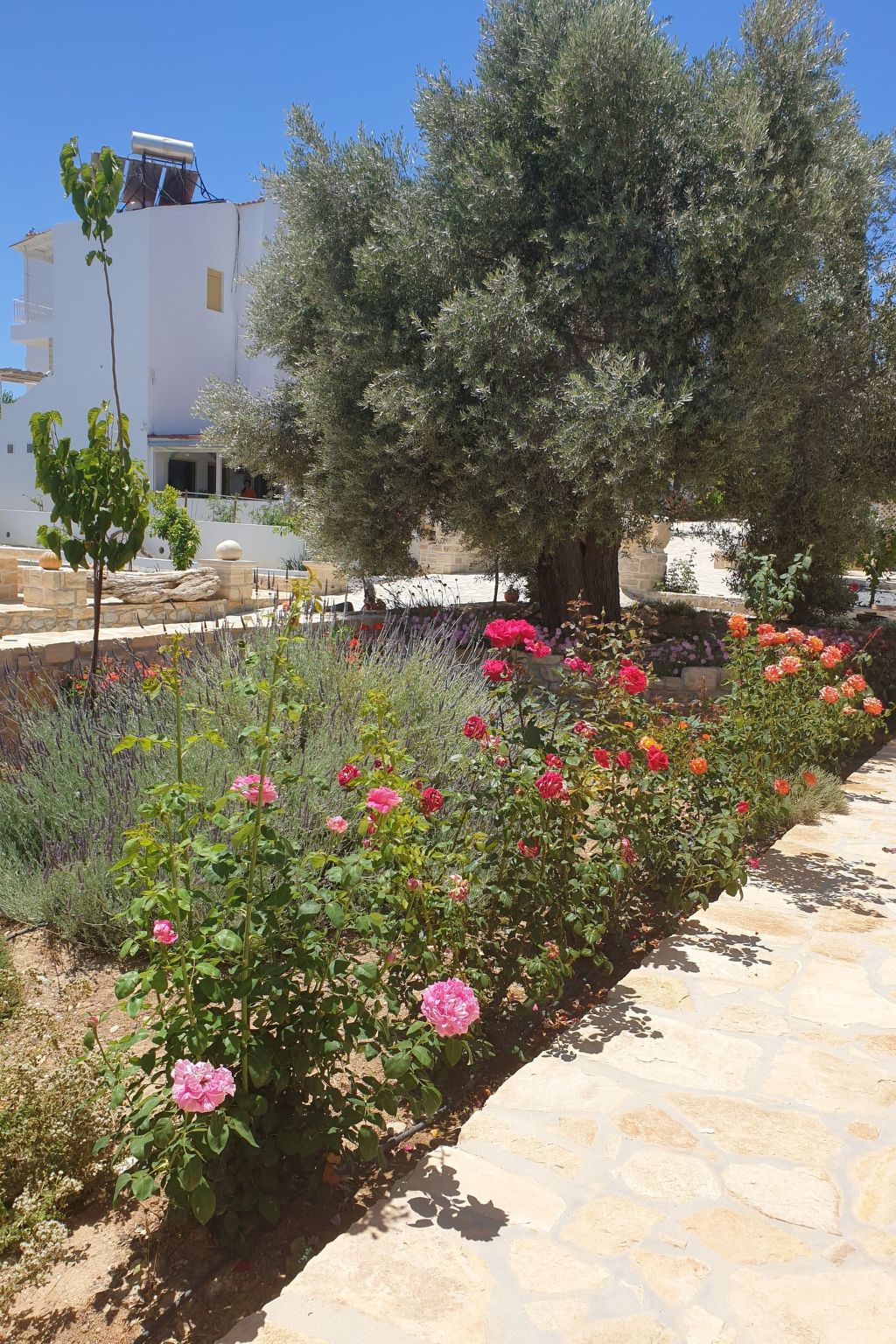 Villa Efthalia - Image 4