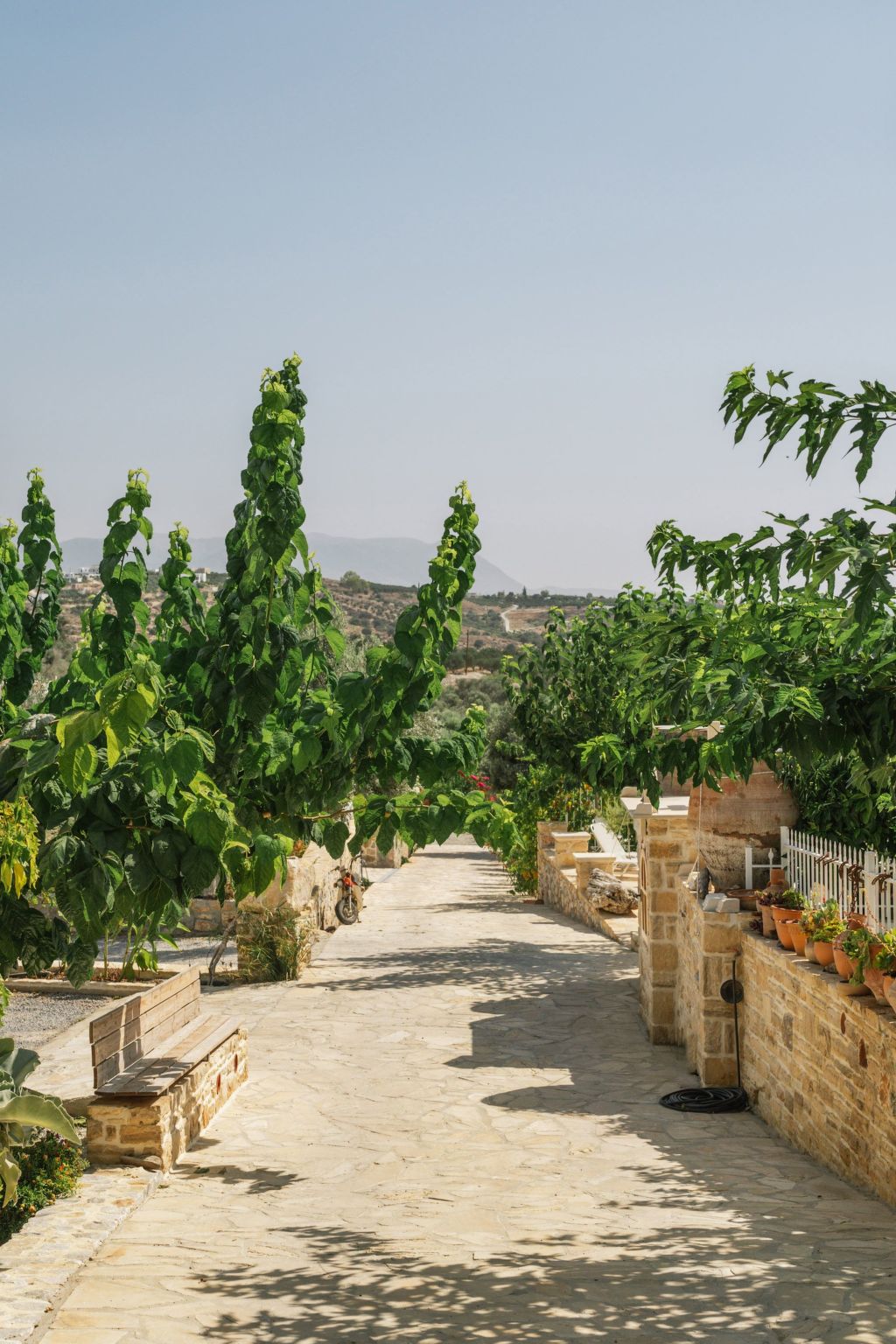 Villa Efthimia - Image 3