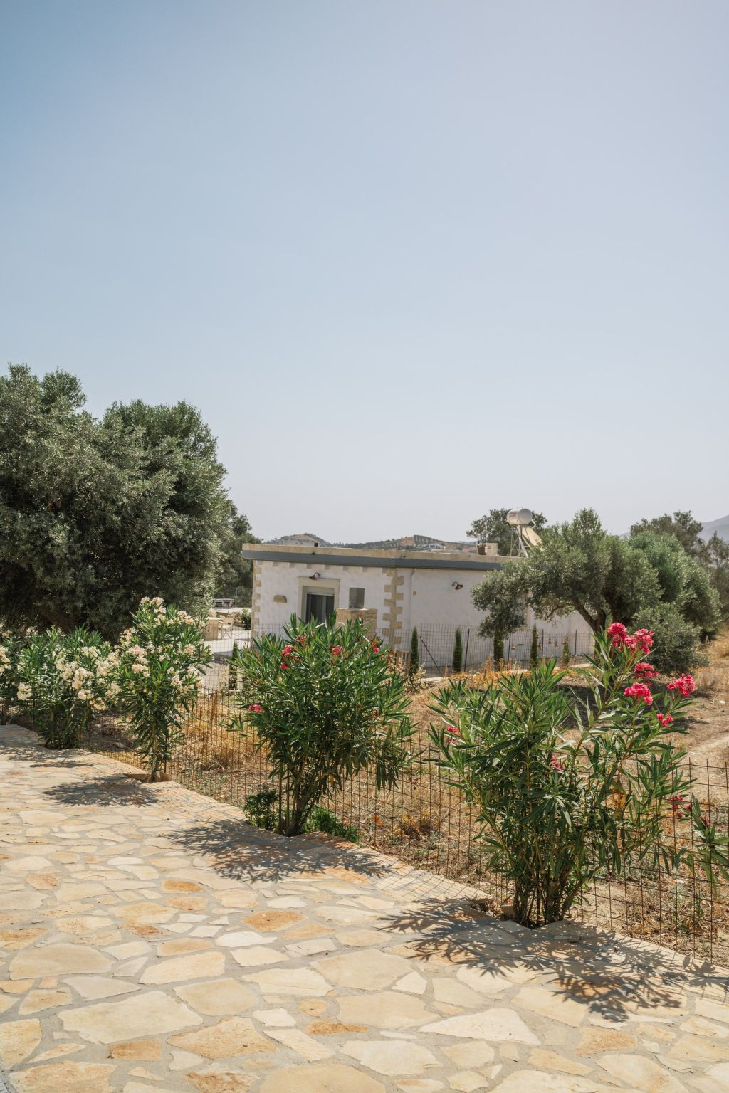 Villa Efthimia - Image 4
