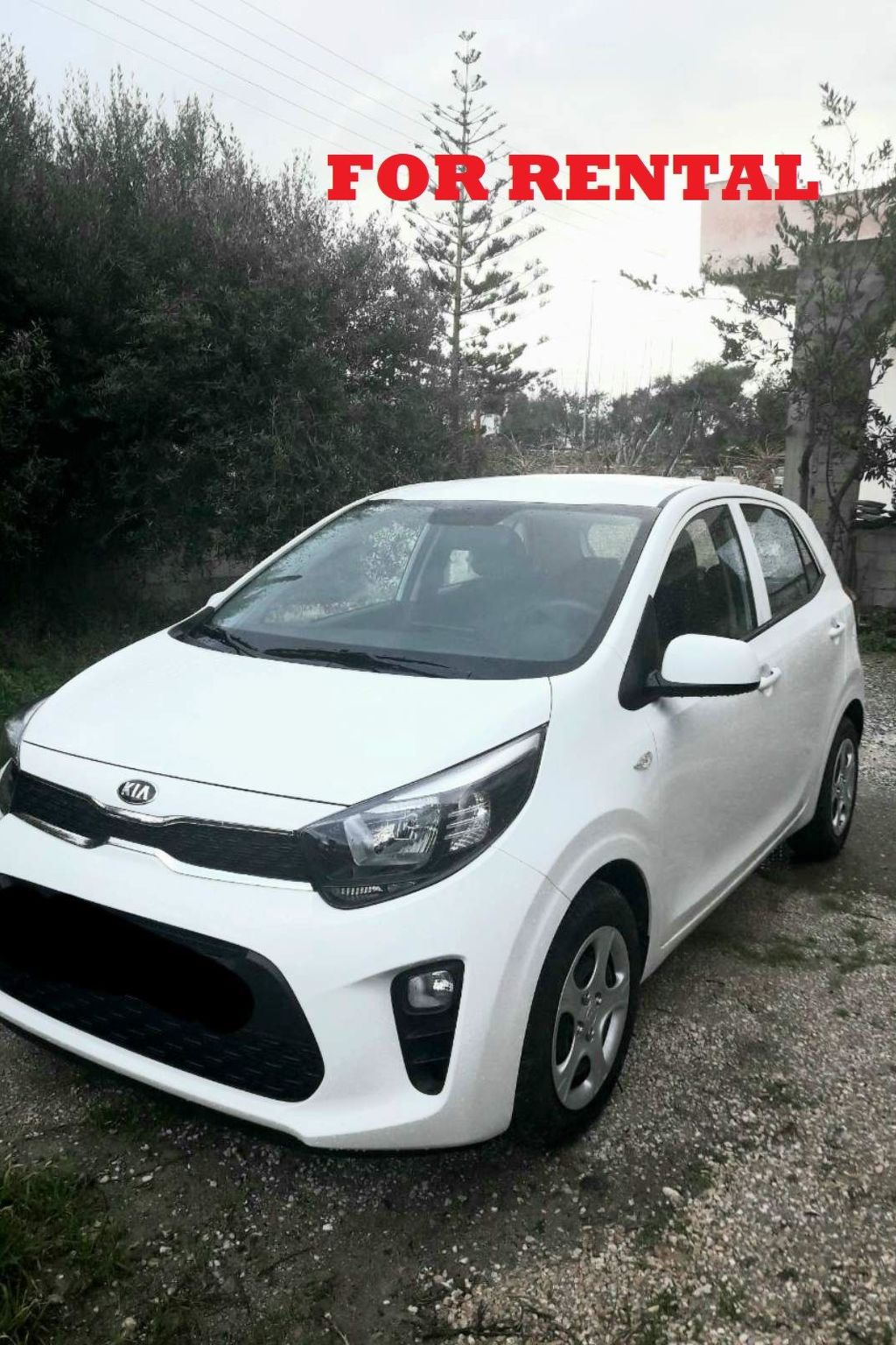 Gorgona Apt - Ihr Traum-1-BDR-Ferienhaus