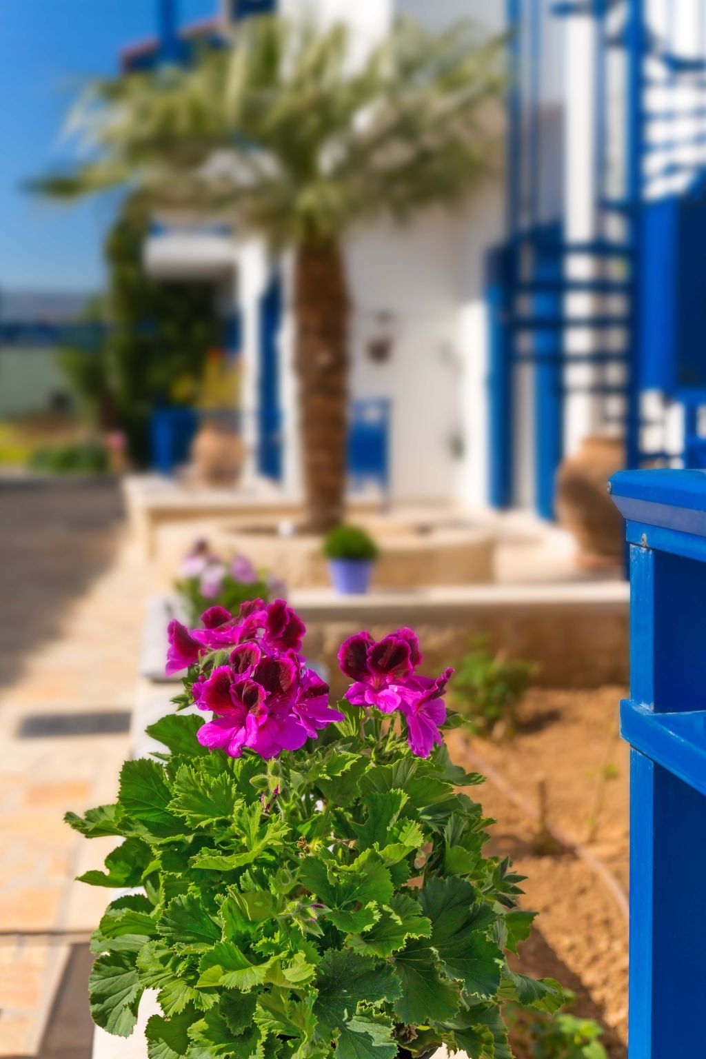 Vitorakis apartments - Image-tags.info