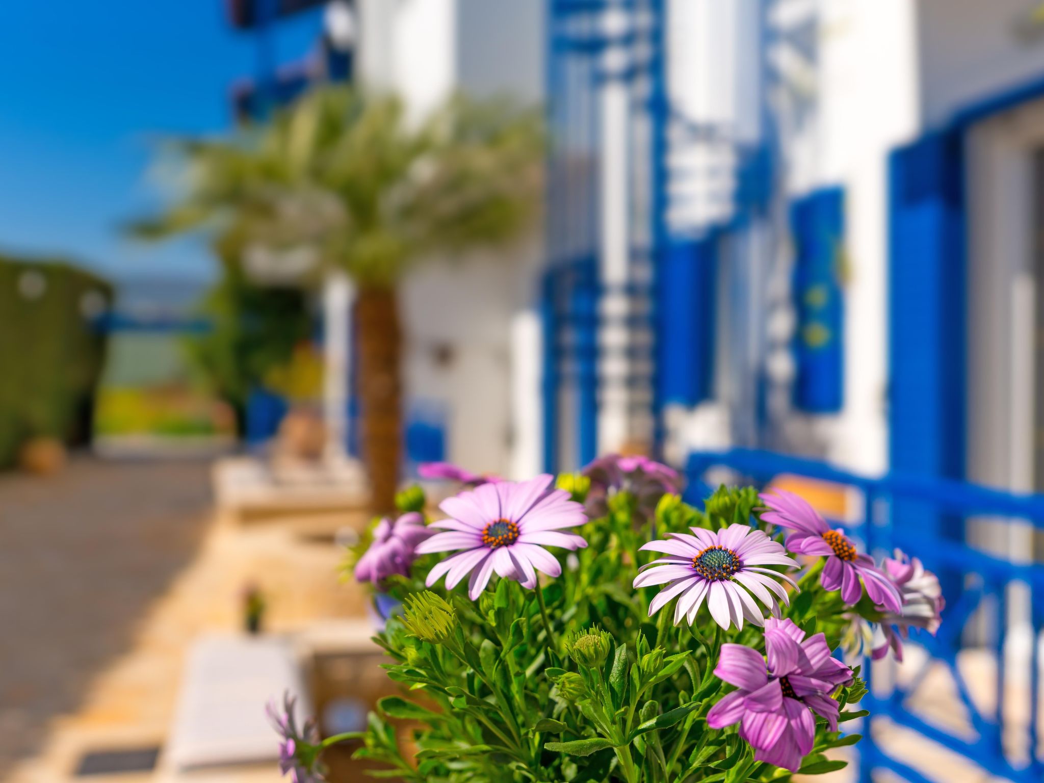 Vitorakis apartments - Image-tags.info