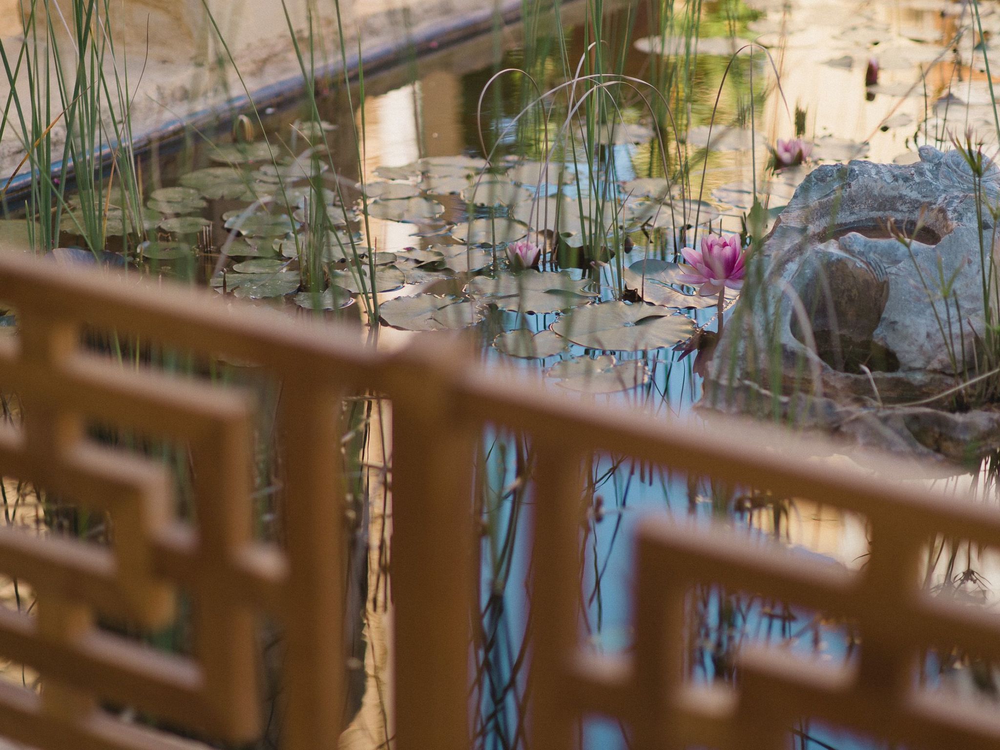 Villa Dimi Nähe Sandstrand Kalathas-Image-tags.info