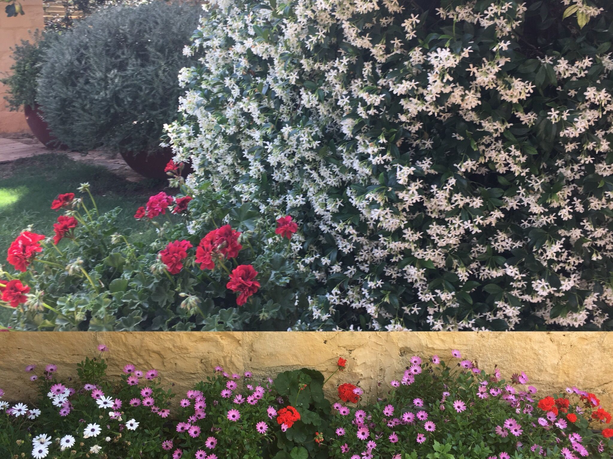 Villa Dimi Nähe Sandstrand Kalathas-Image-tags.info