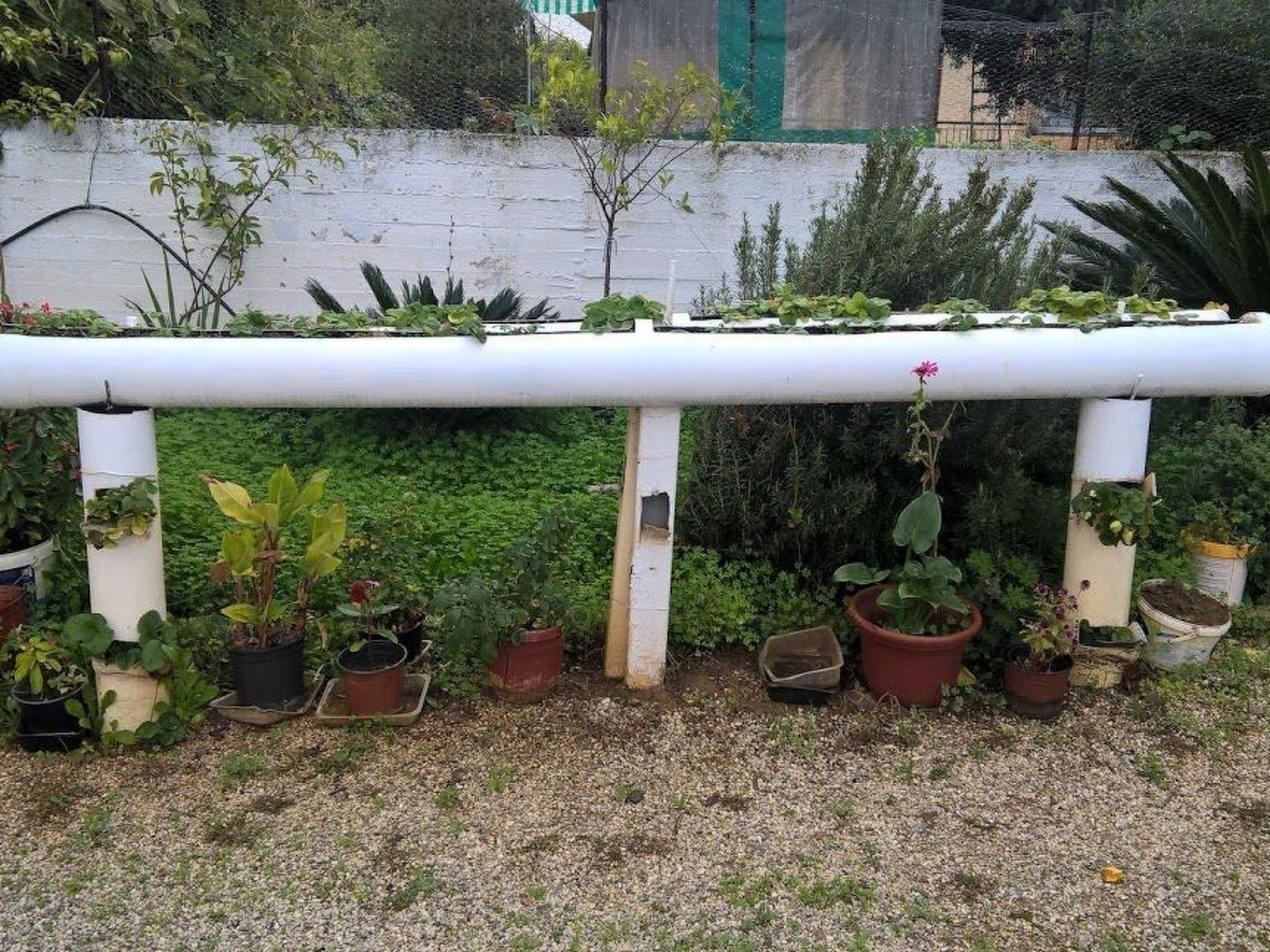 Zinovia Studio mit Balkon-Image-tags.info