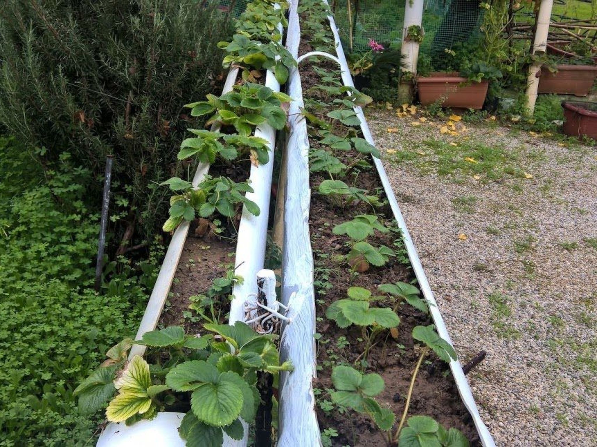 Zinovia Studio mit Balkon-Image-tags.info