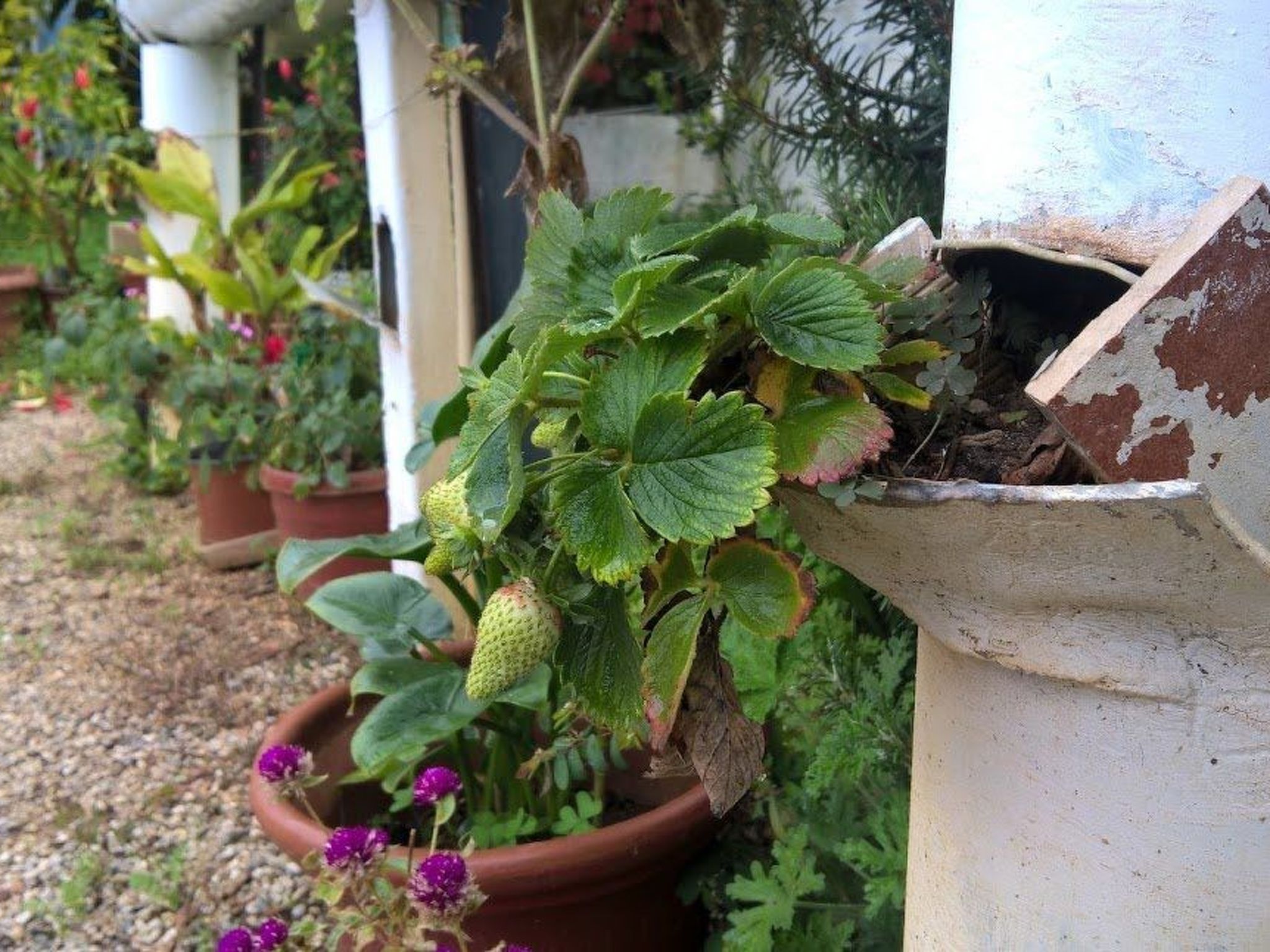 Zinovia Studio mit Balkon-Image-tags.info