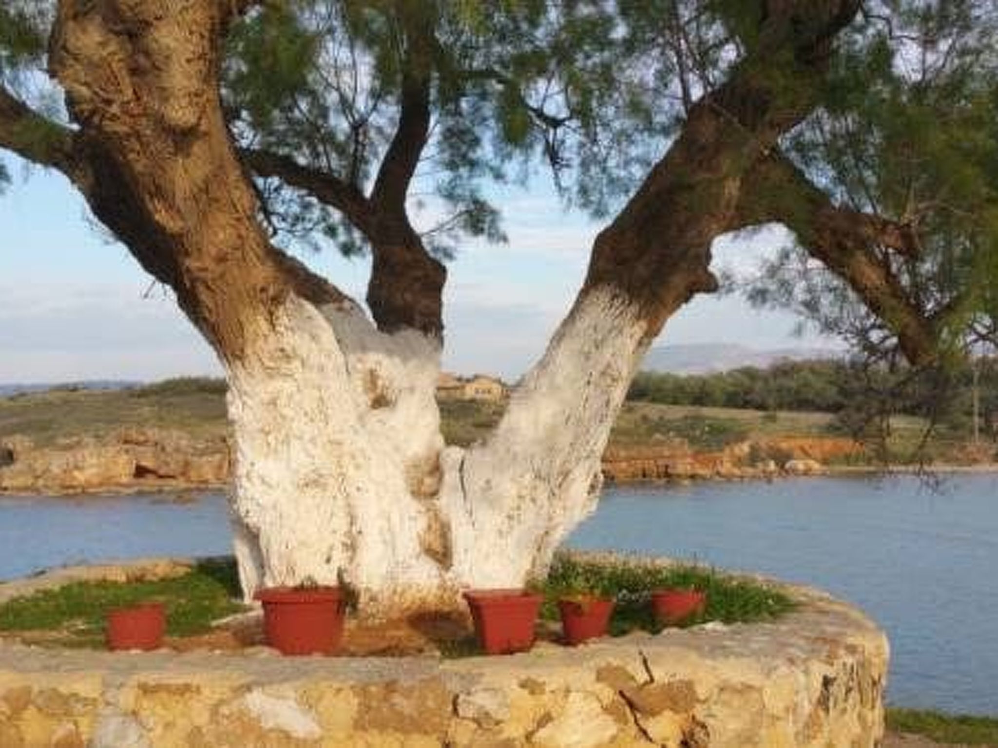 Zinovia Studio mit Balkon-Image-tags.info