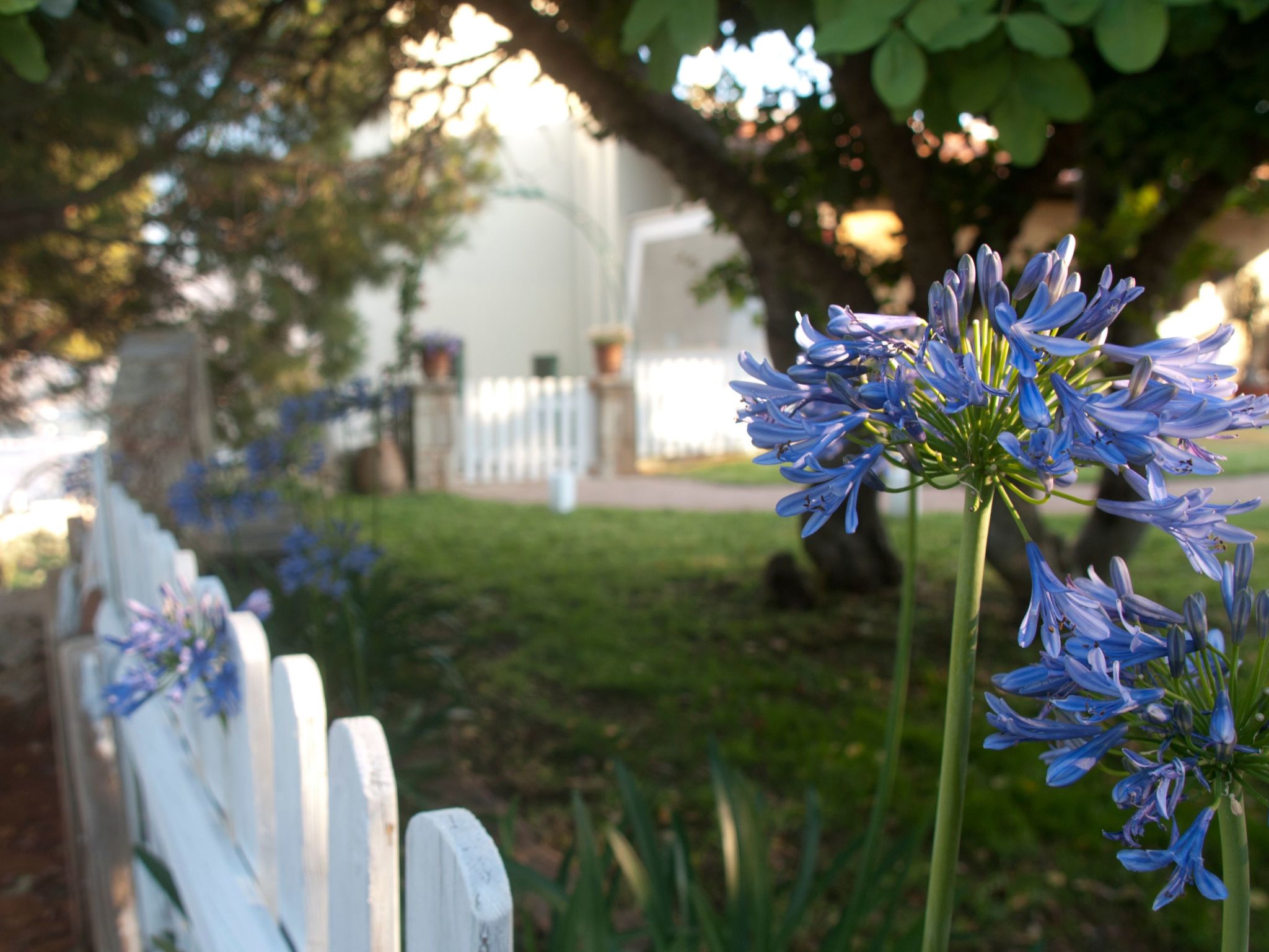 Der Garten von Zephyrus - West-Drinnen