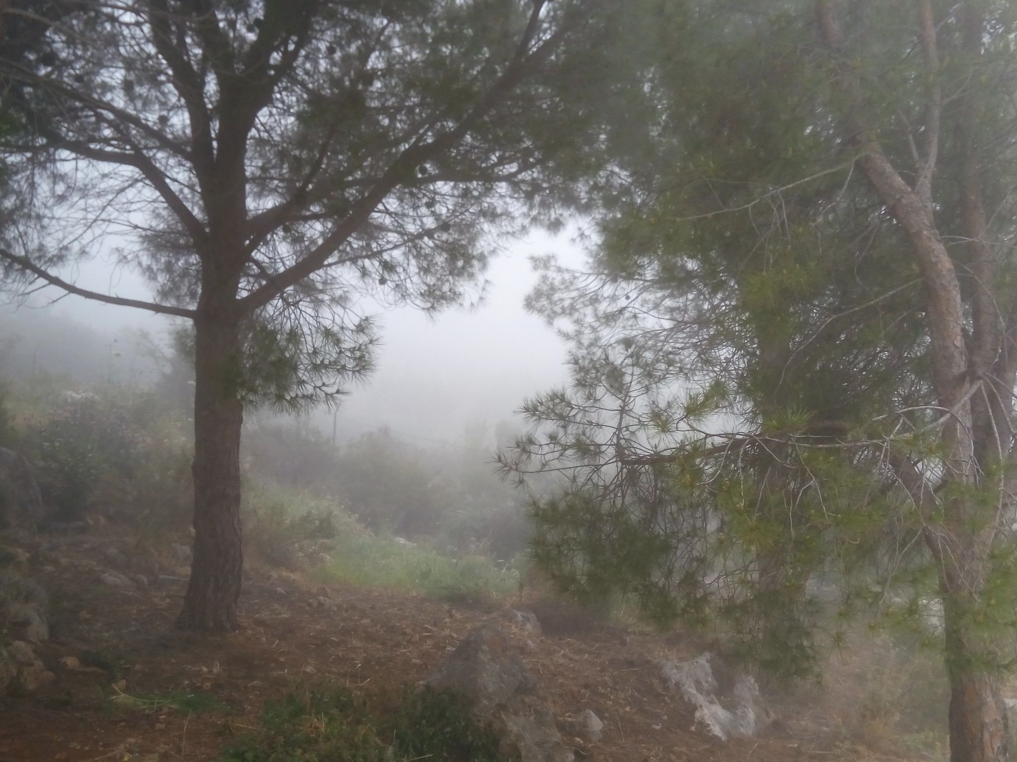 Der Garten von Zephyrus - Osten-Drinnen