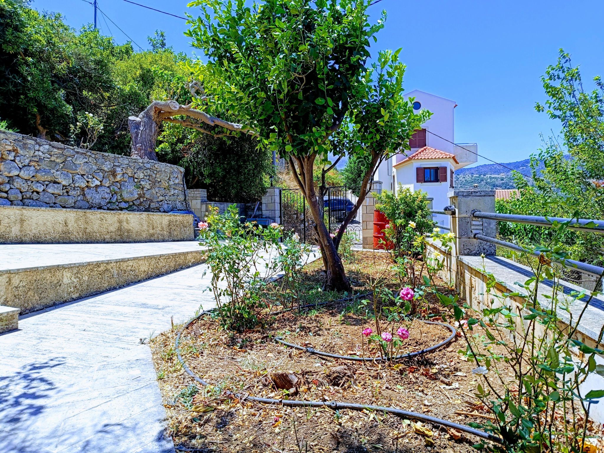 "Haus Fenaretis"-Drinnen