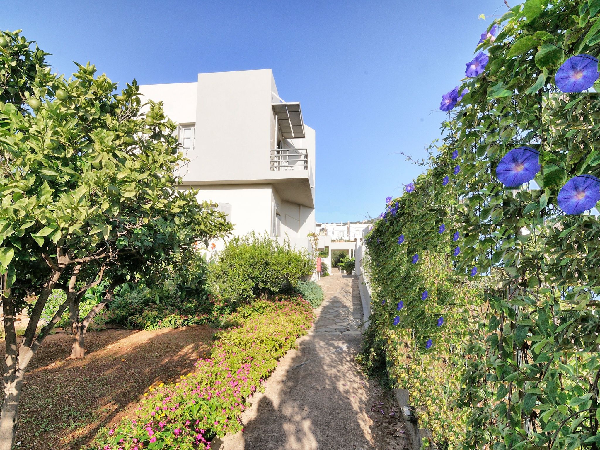 Elounda Garden Maxima Suite Beheiztes Schwimmbad-Image-tags.info