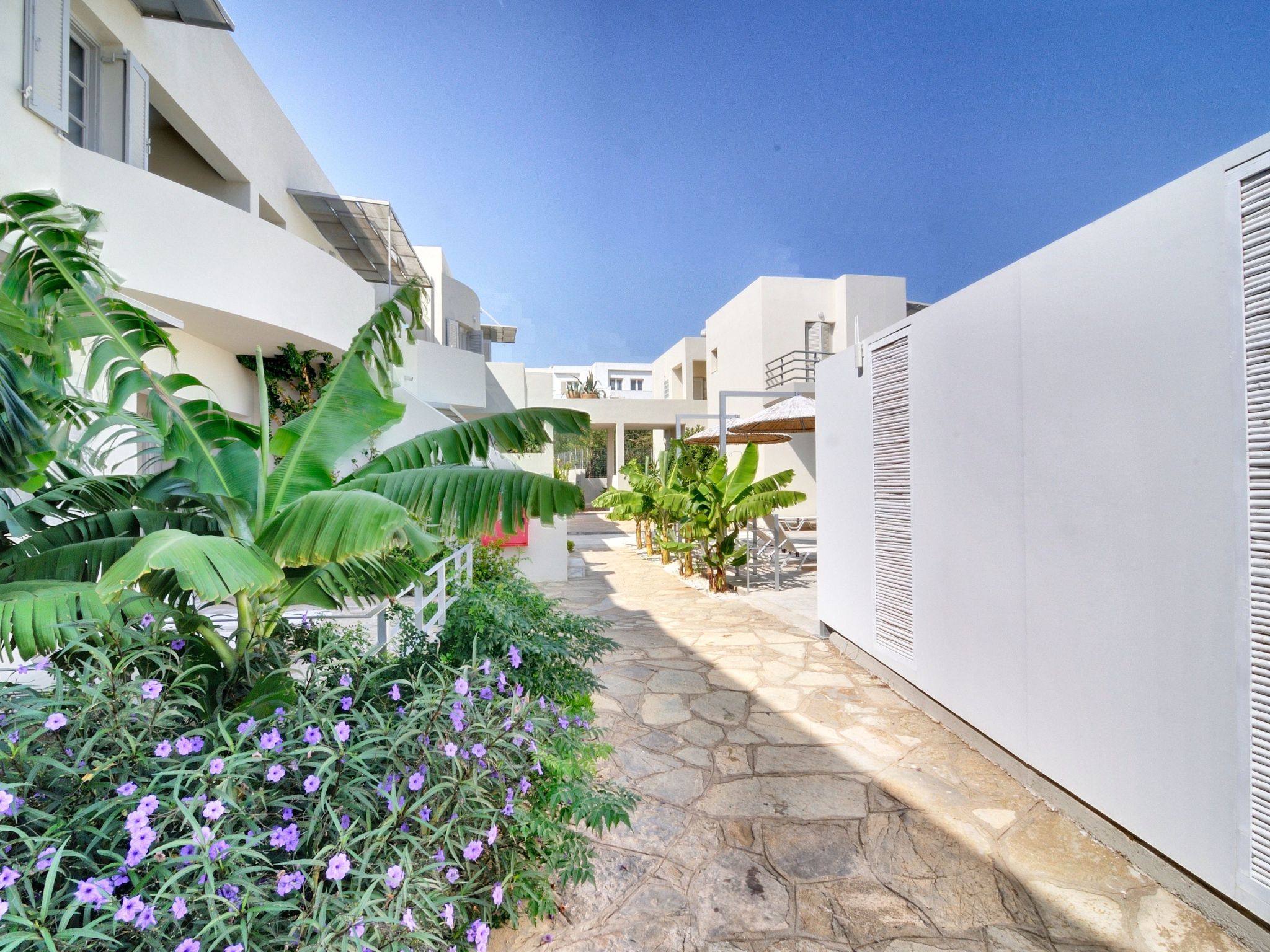 Elounda Garden Maxima Suite Beheiztes Schwimmbad-Image-tags.info