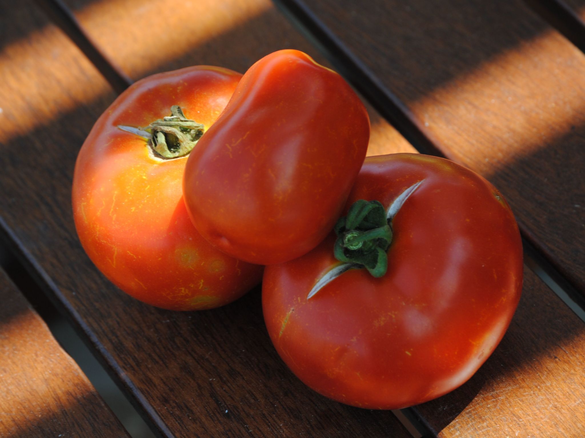 Mit Privatpool für 4 Personen  + 2 Kinder ca. 92 m&sup2; in Elounda, Kreta (Ost-Binnen