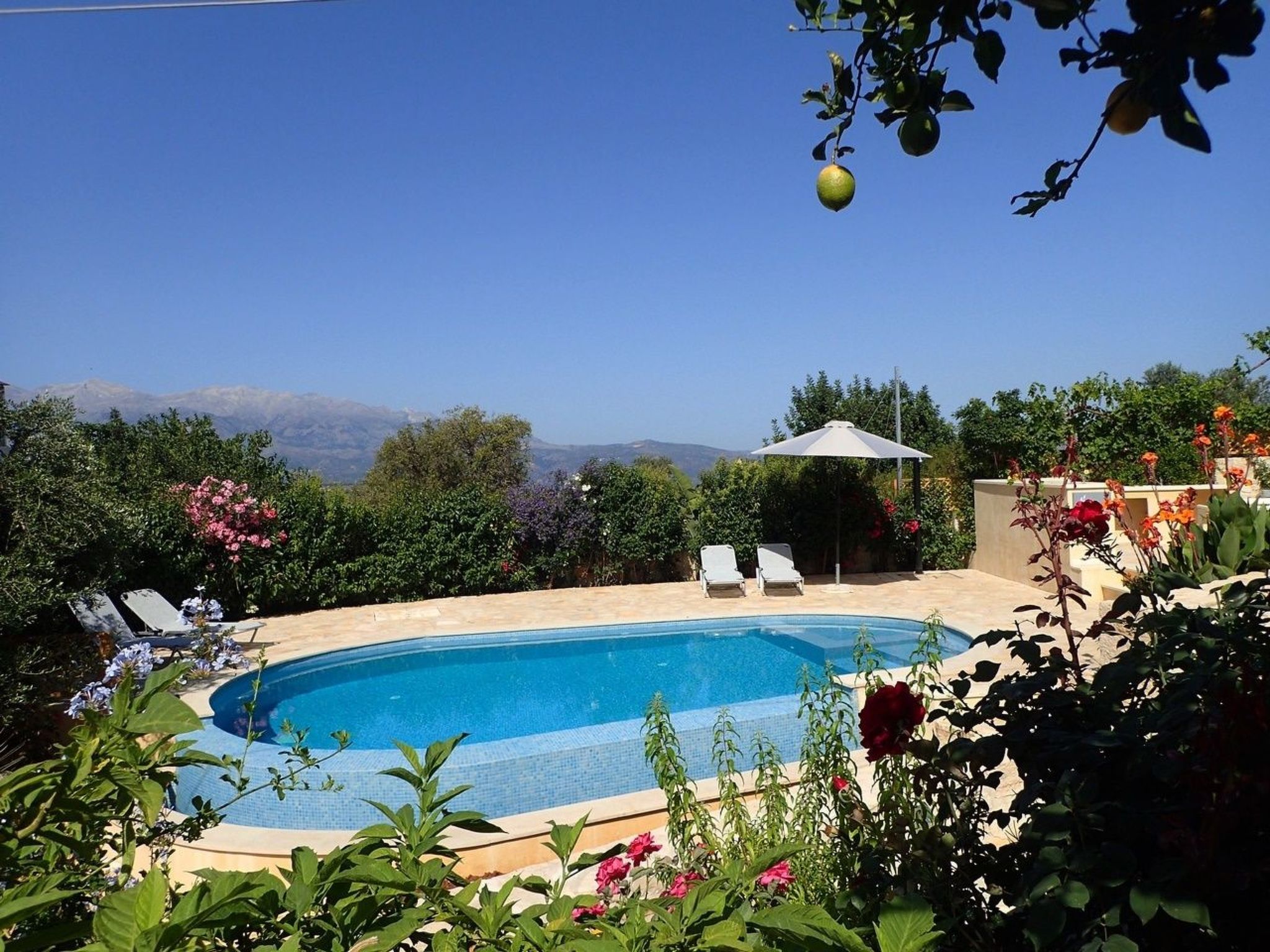2 Wohnungen mit Garten und Pool