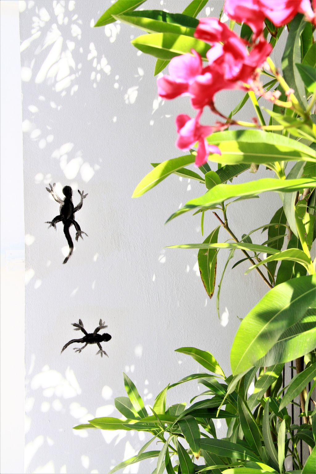 Villa "Dionysos" mit privatem Pool-Image-tags.info