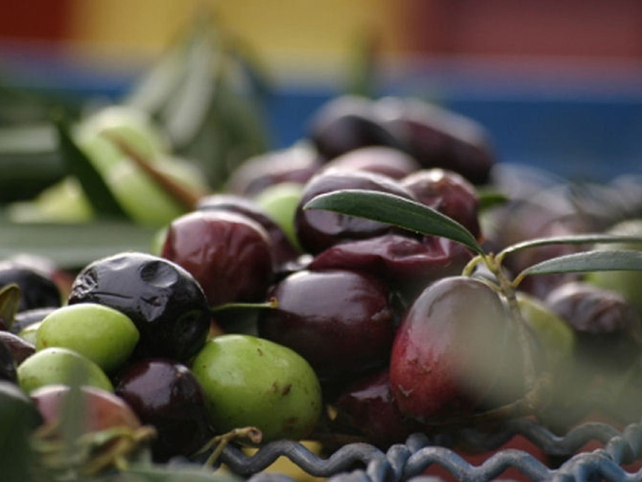Villa "Dionysos" mit privatem Pool-Image-tags.info