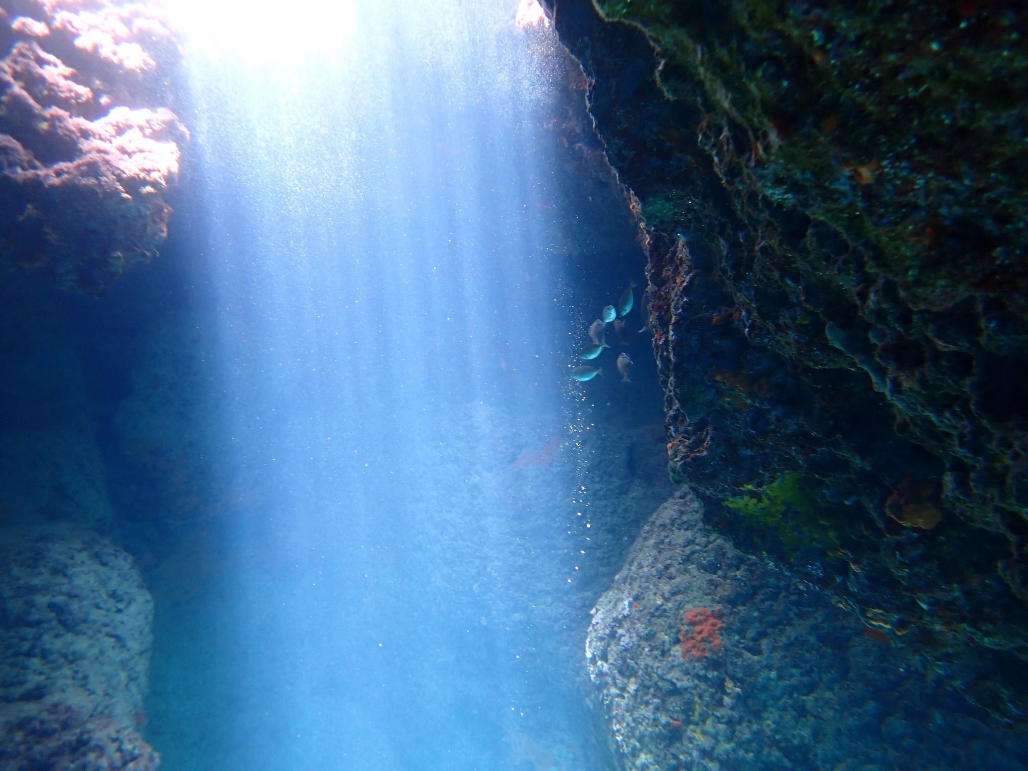 Villa "Dionysos" mit privatem Pool-Image-tags.info