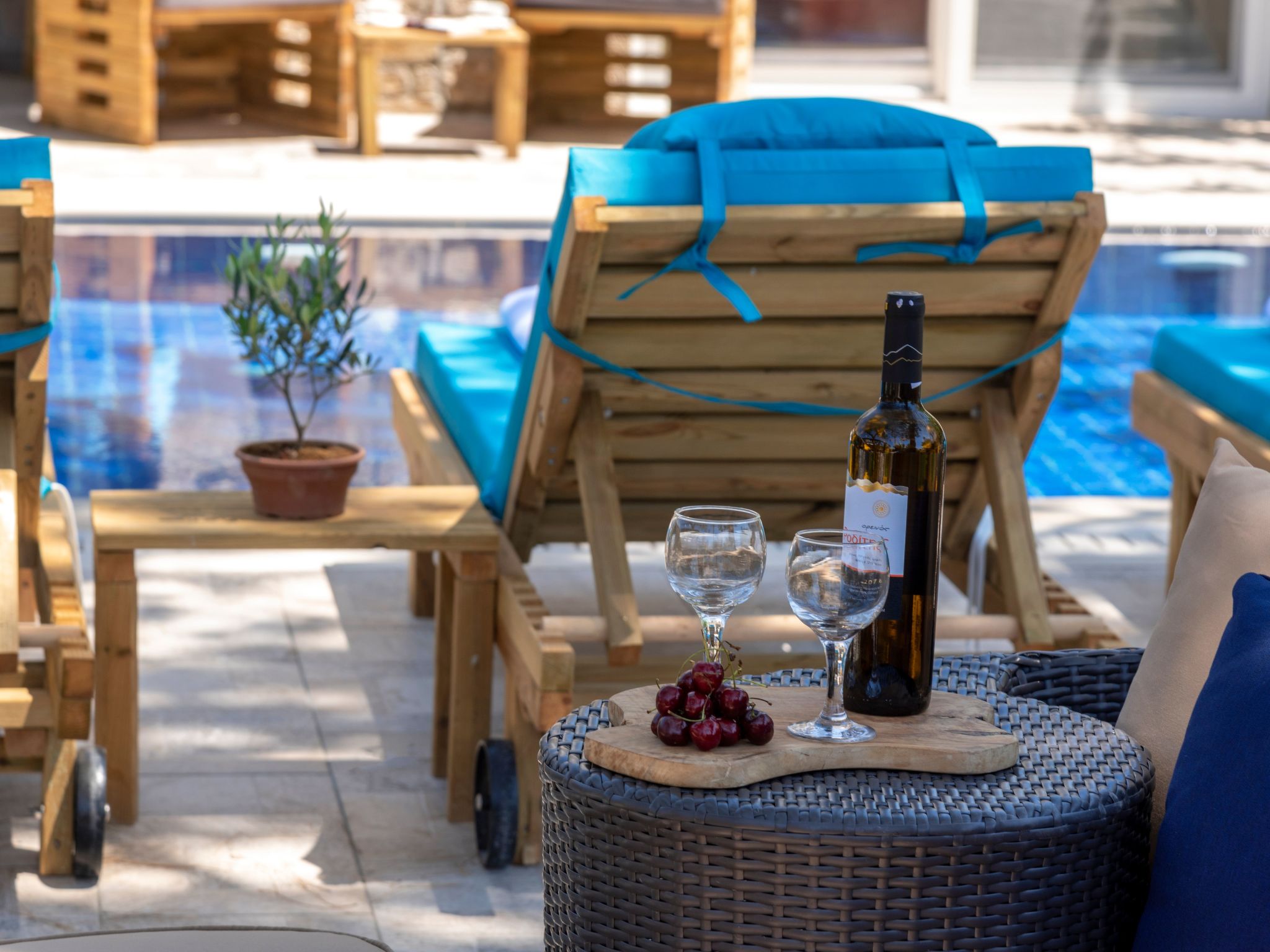 Luxuriöses Ferienhaus mit heizbarem Infinitypool-Binnen