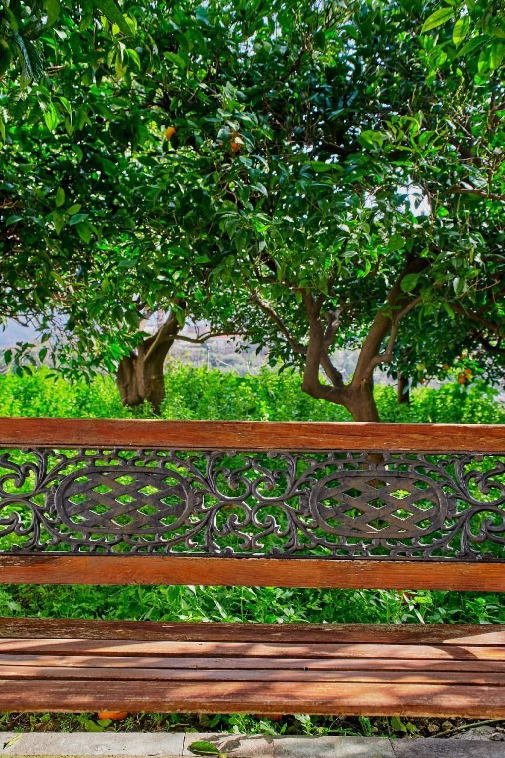 Villa Manthos Traditionelles Kretisches Herrenhaus-Binnen