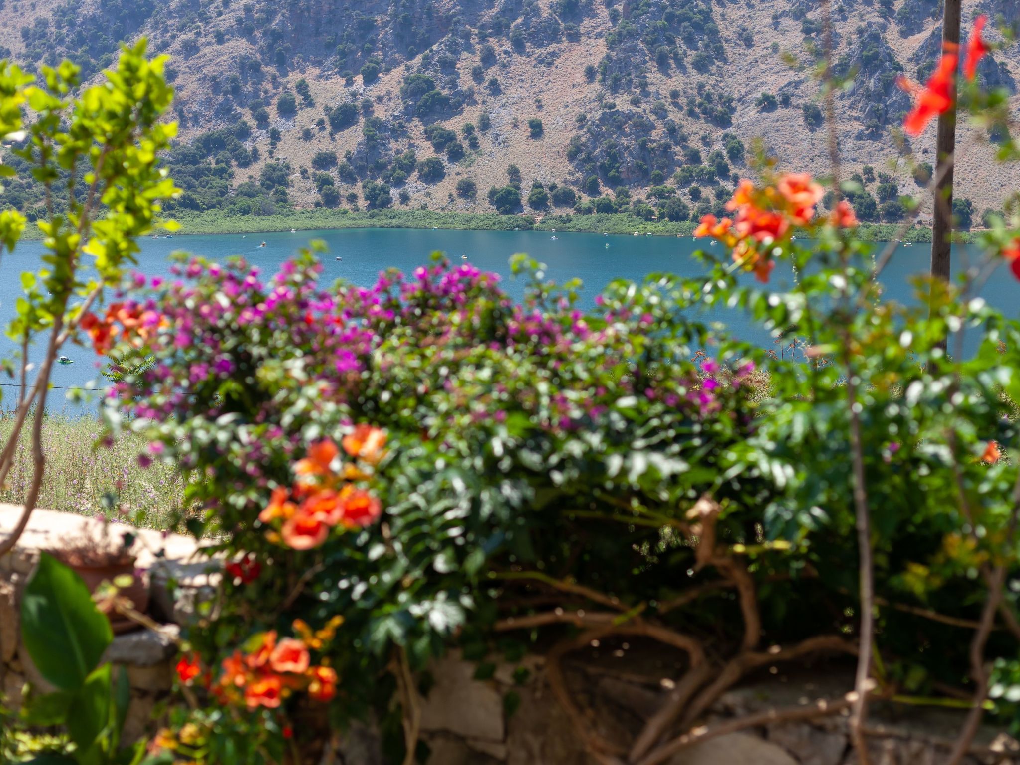 Ein irdisches Paradies-Dedans