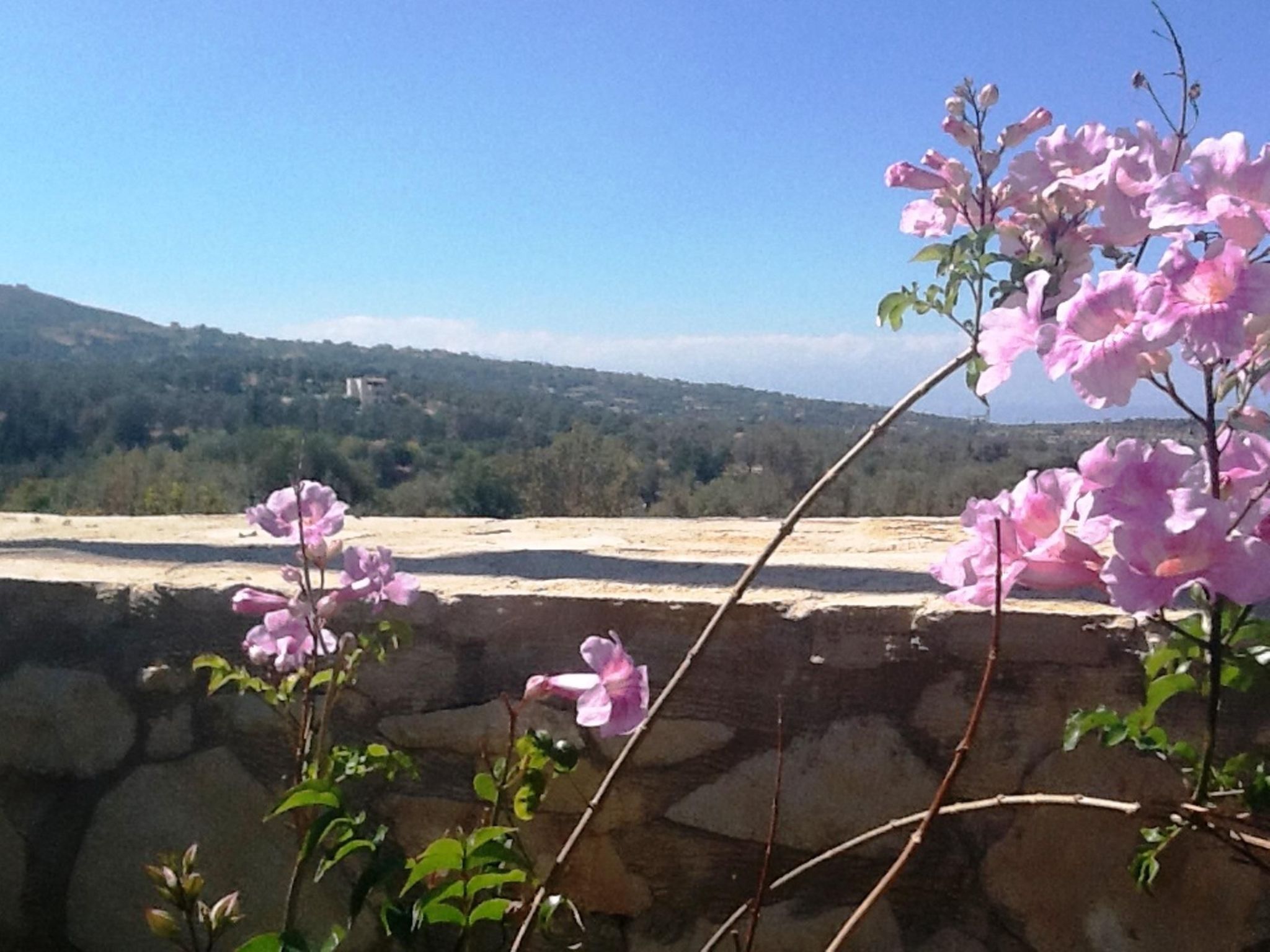 Villa Stefanos, Meerblick, privater Pool, Rethymno-Dedans