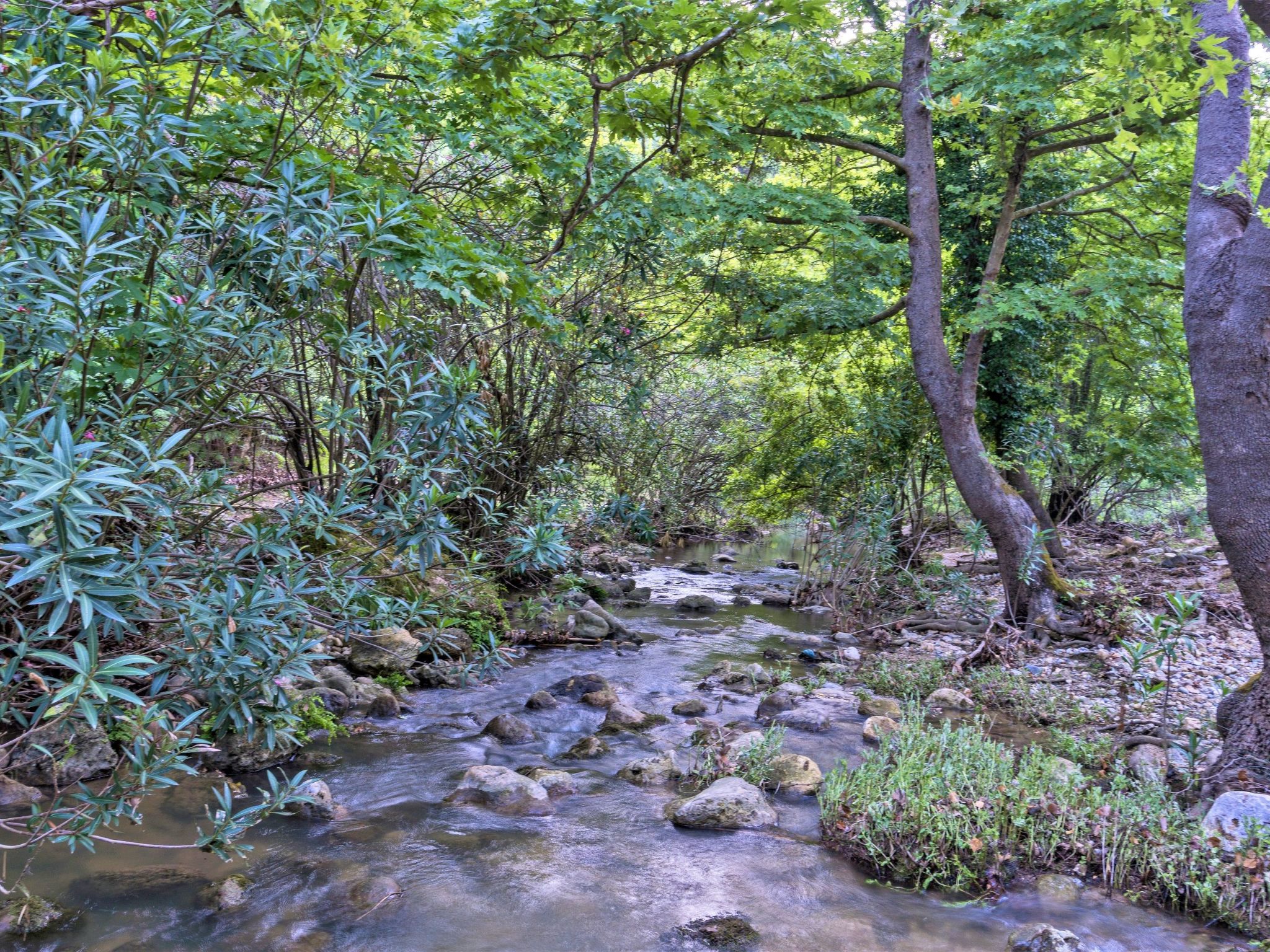 Villa Zeus mit privatem Pool und Jacuzzi-Image-tags.info