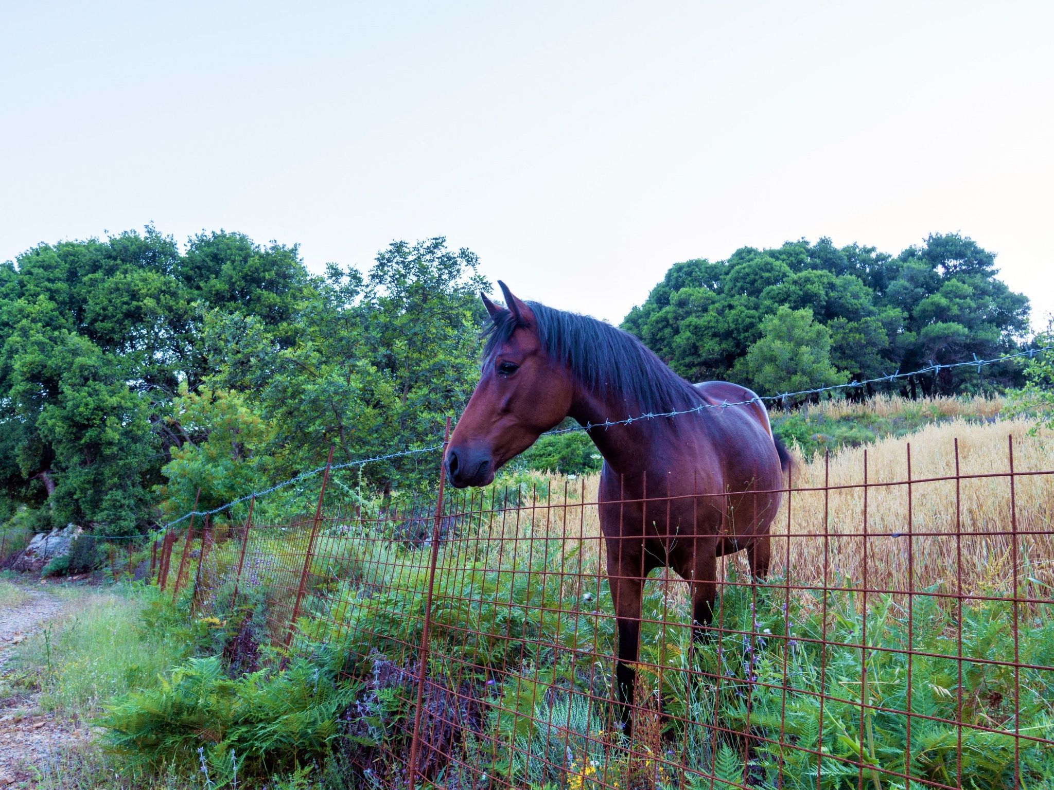 Villa Zeus mit privatem Pool und Jacuzzi-Buiten