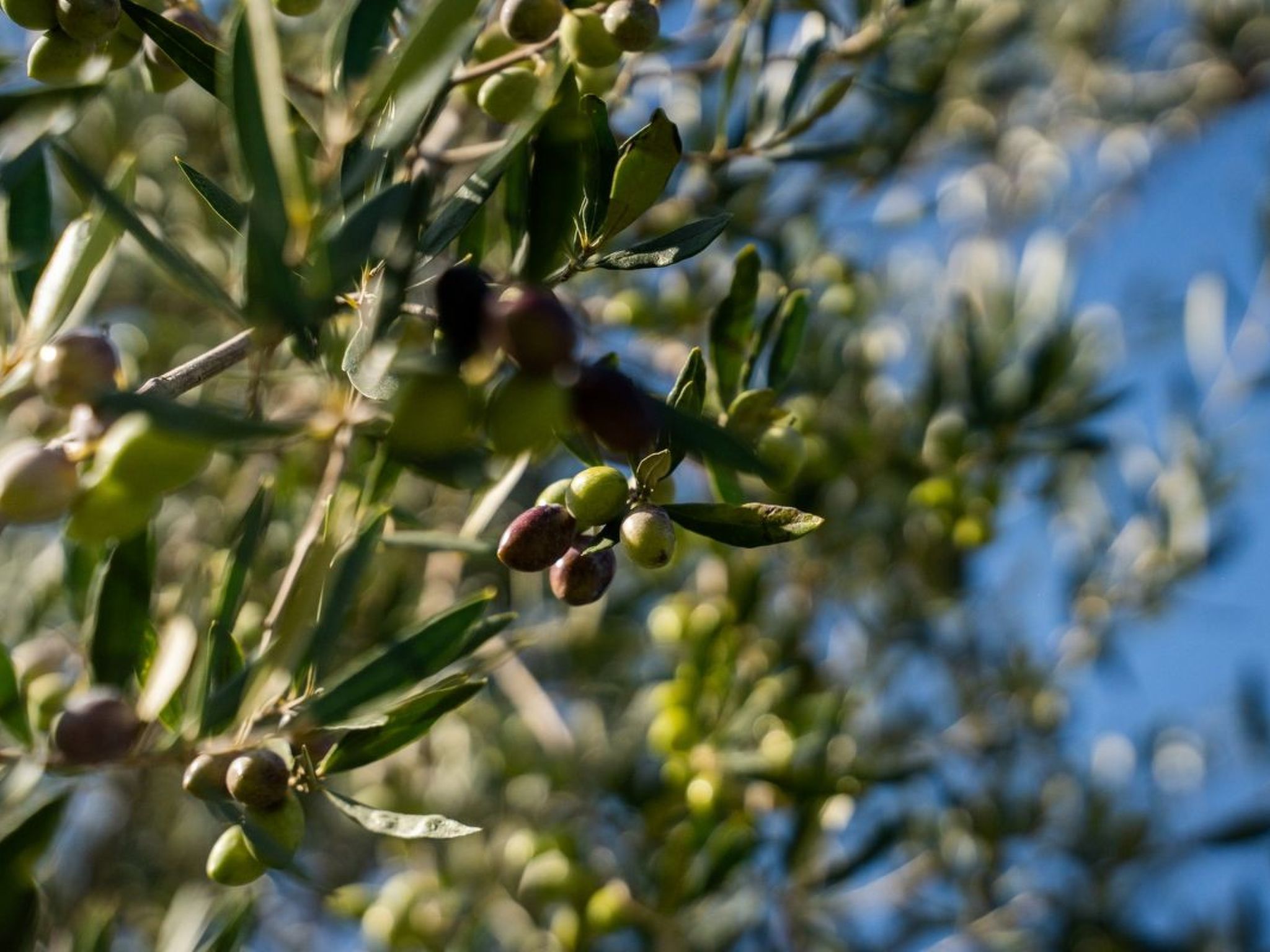 Haus in Arkadii mit Innenbalkon-Image-tags.info